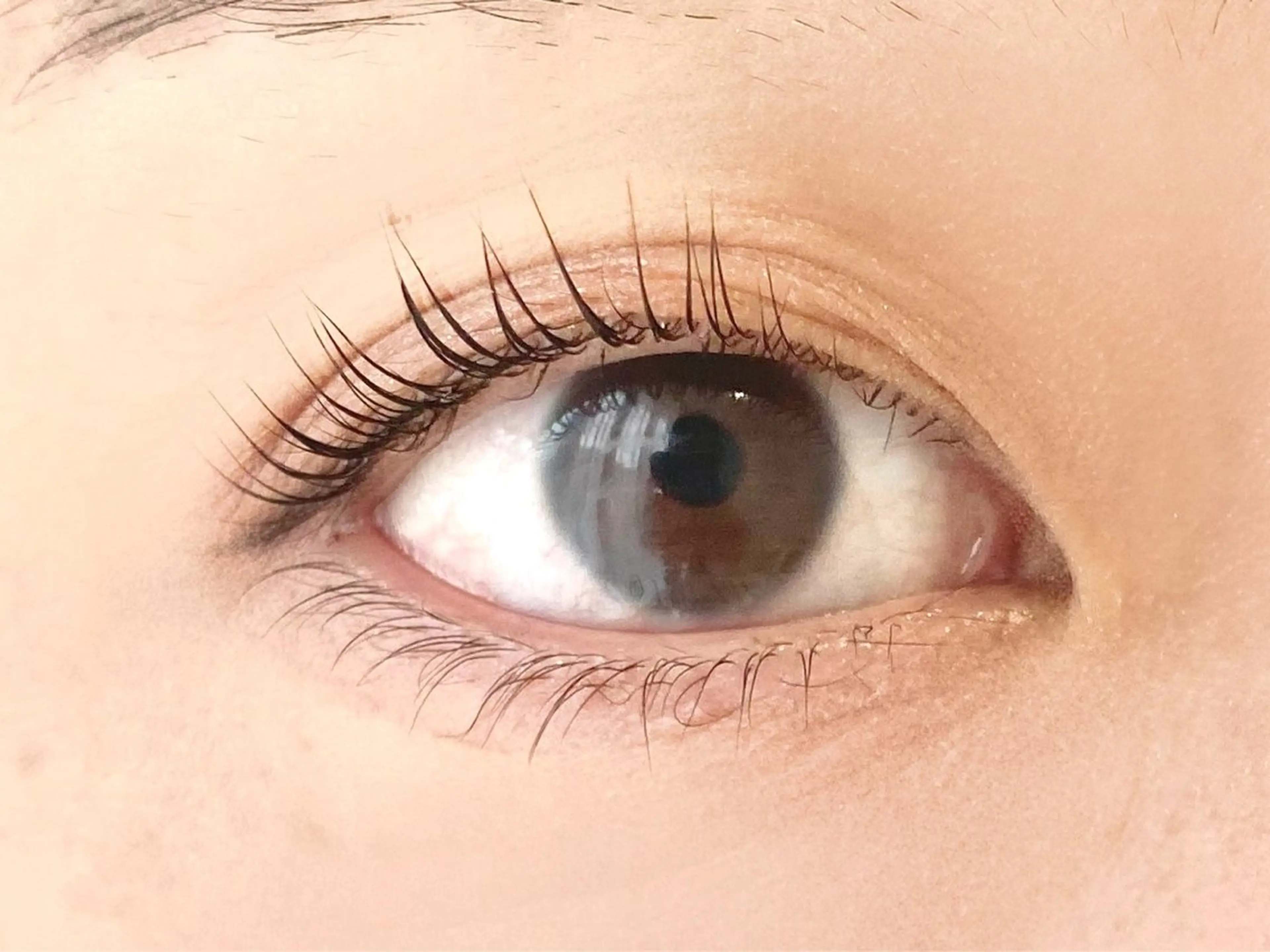 マツエク・マツパ Lowen 野原の眉毛・アイブロウイメージ