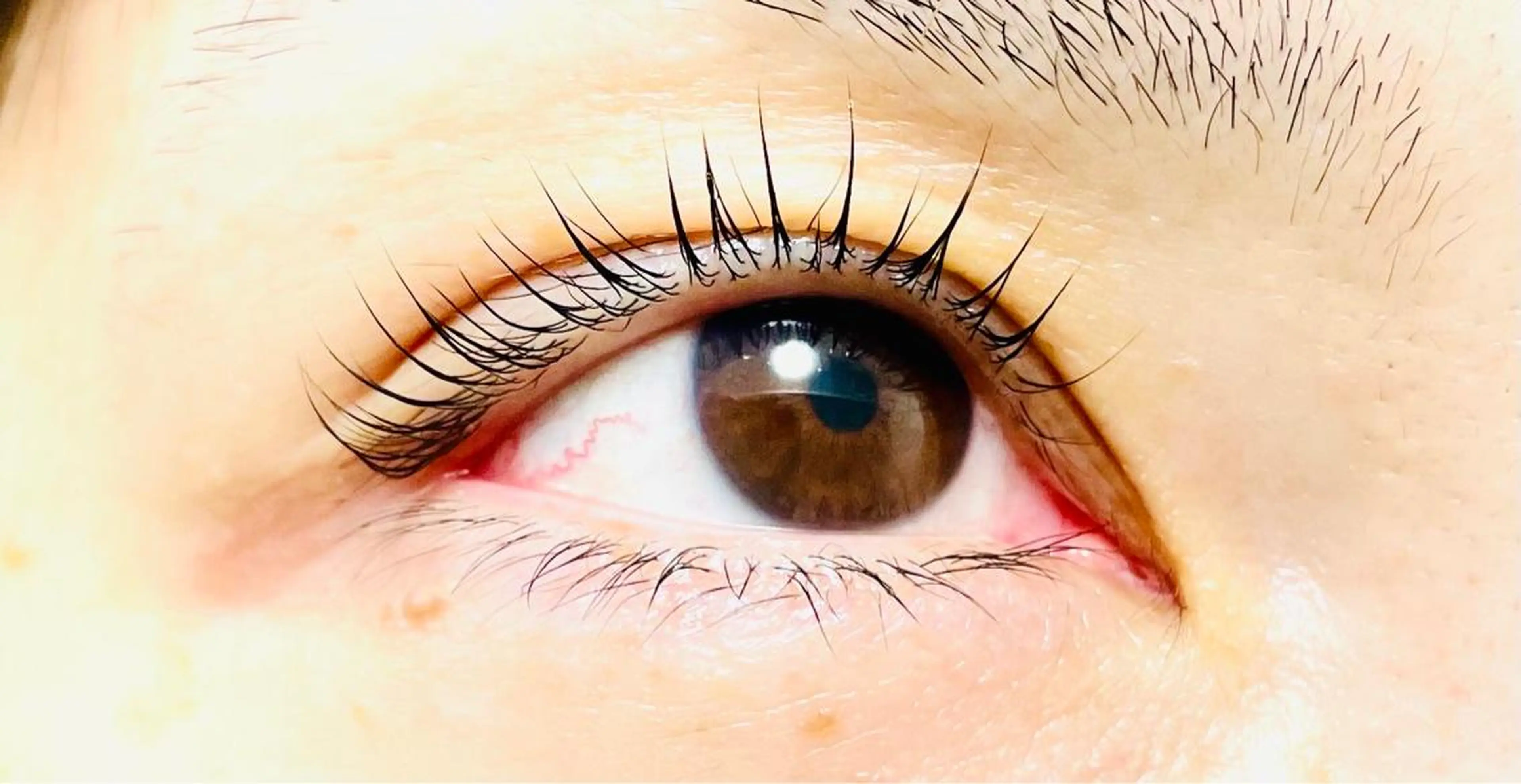 マツエク・マツパ マツパ Shinus シャイナスのマツエク・マツパデザイン