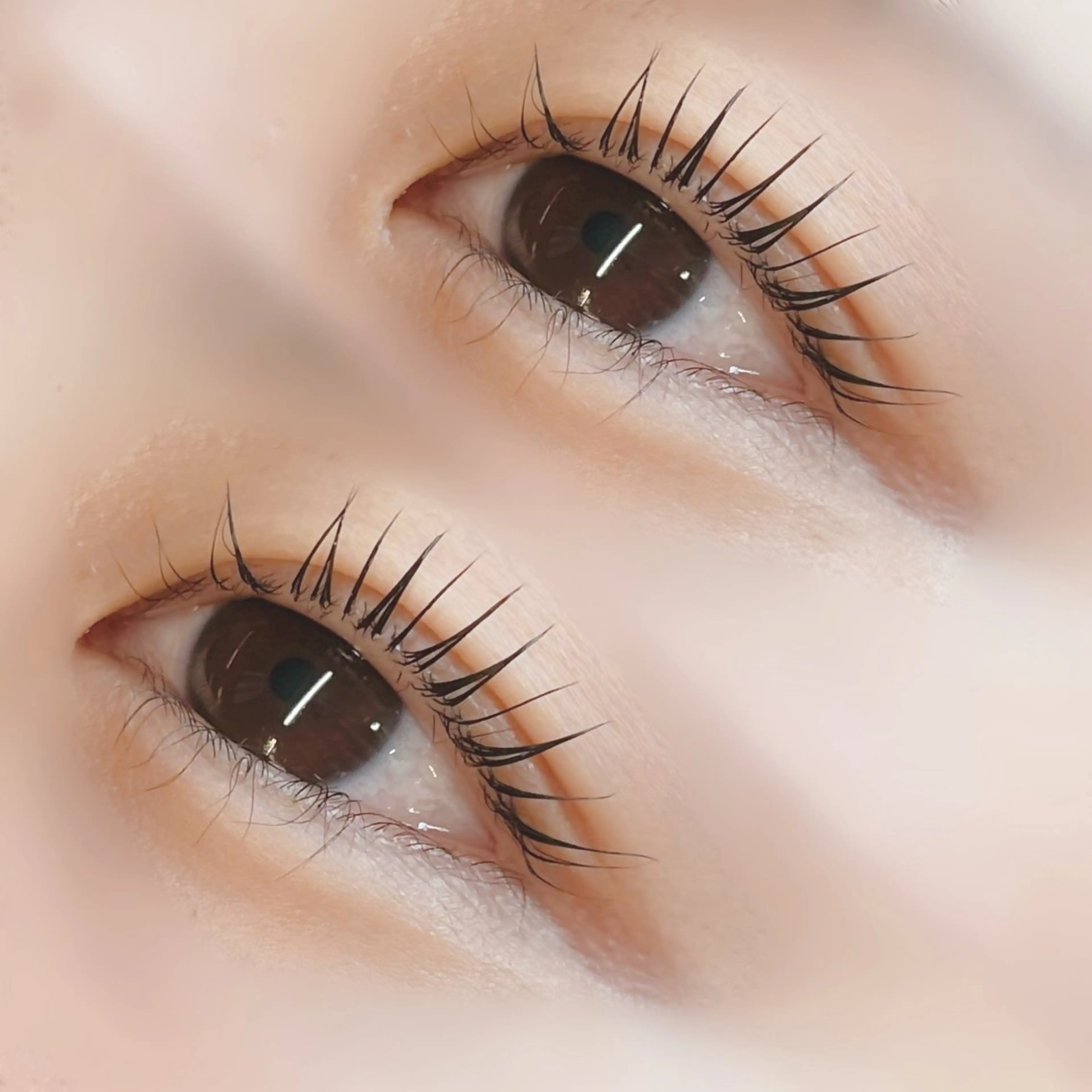 マツエク・マツパ パリジェンヌラッシュリフト マツパ 🪼ひとみ🪼半個室 Amour菊川店のマツエク・マツパデザイン