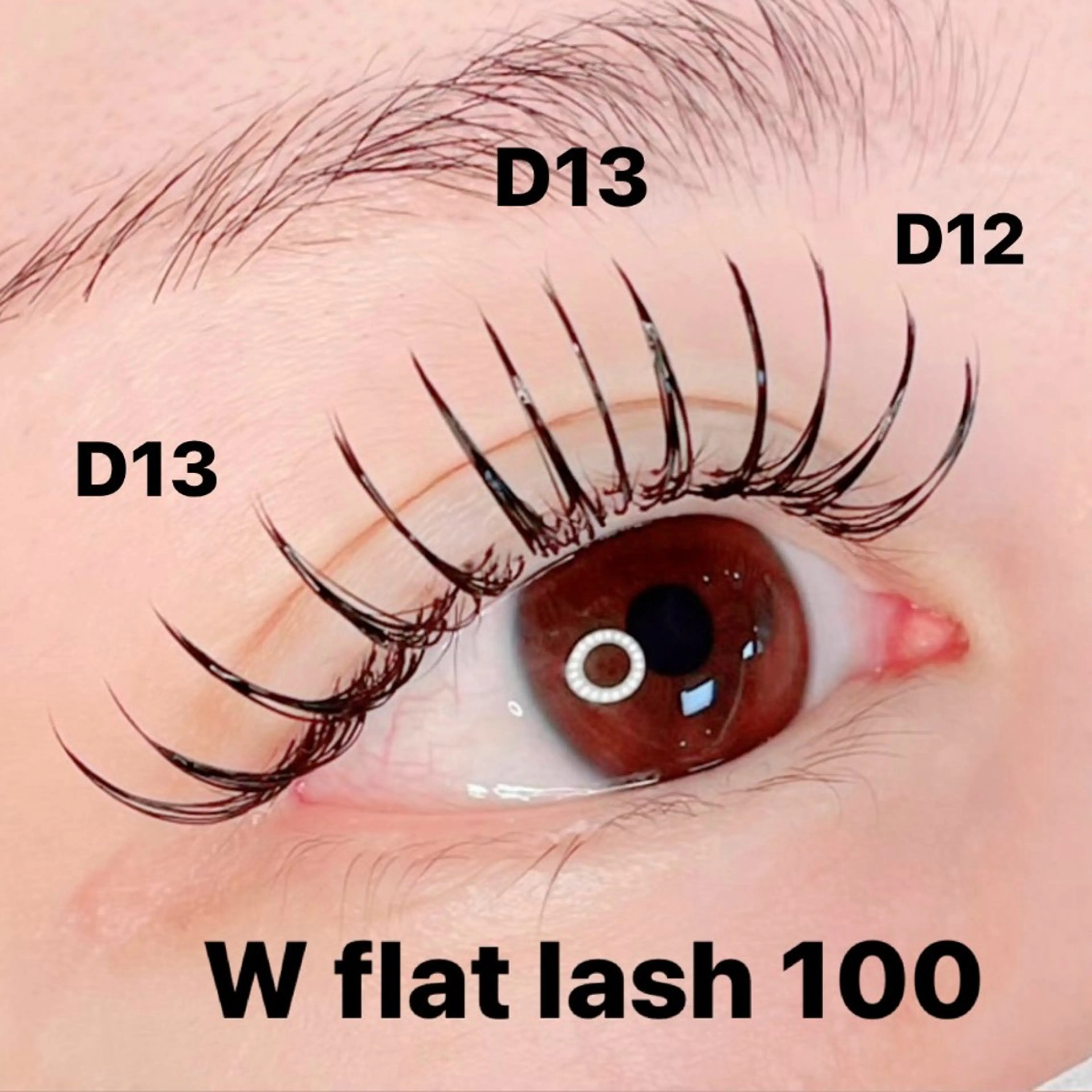 【ダブルフラットラッシュ80束 ¥9000／100束 ¥9500】持続力UP＋束感✨［オフ・再来様 各¥500］の写真