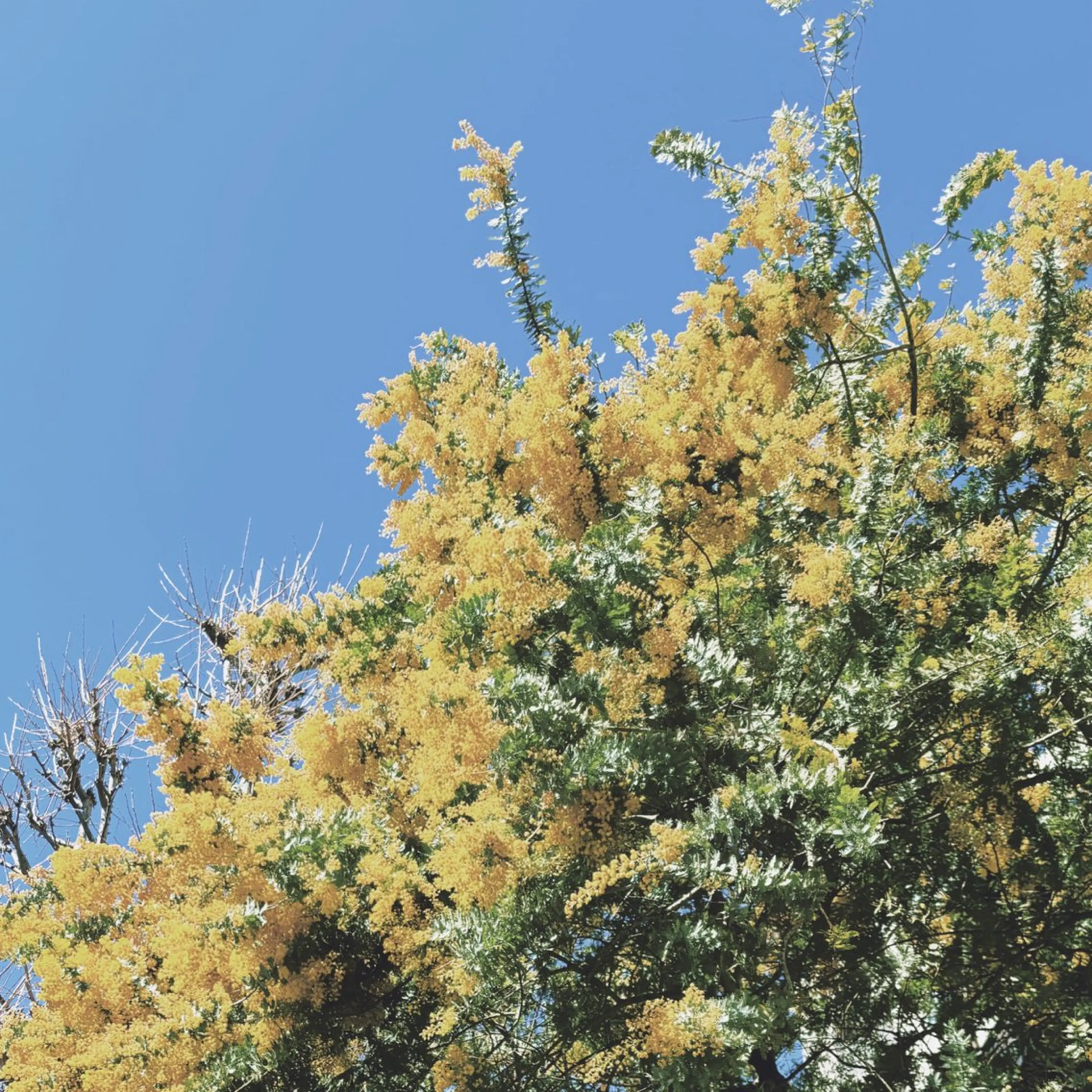 ロング カラー 髪質改善 髪質改善カラー ベージュ🤎YUMEのヘアスタイル