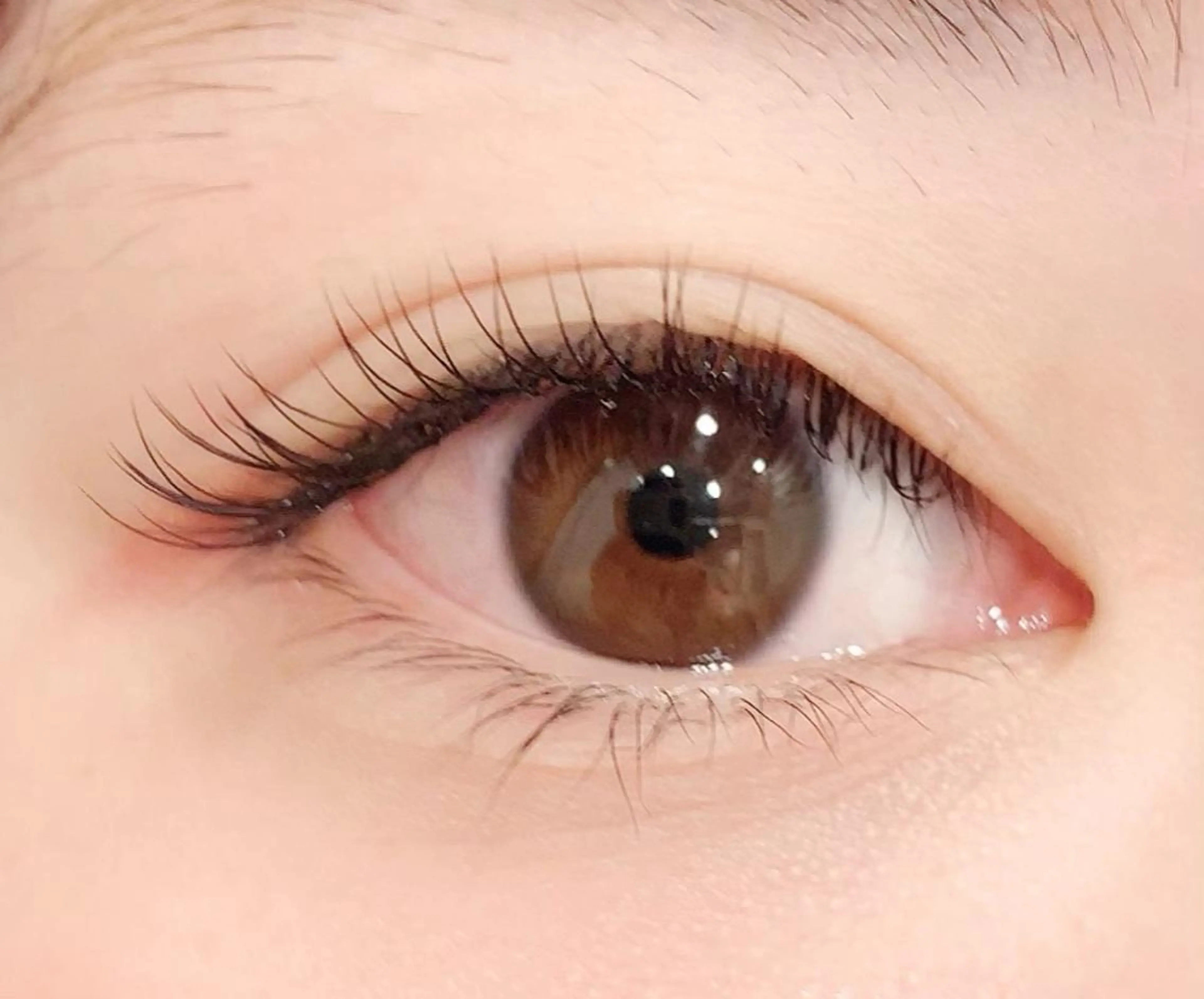 マツエク・マツパ ナチュラル FUKO Hip's eyesのマツエク・マツパデザイン