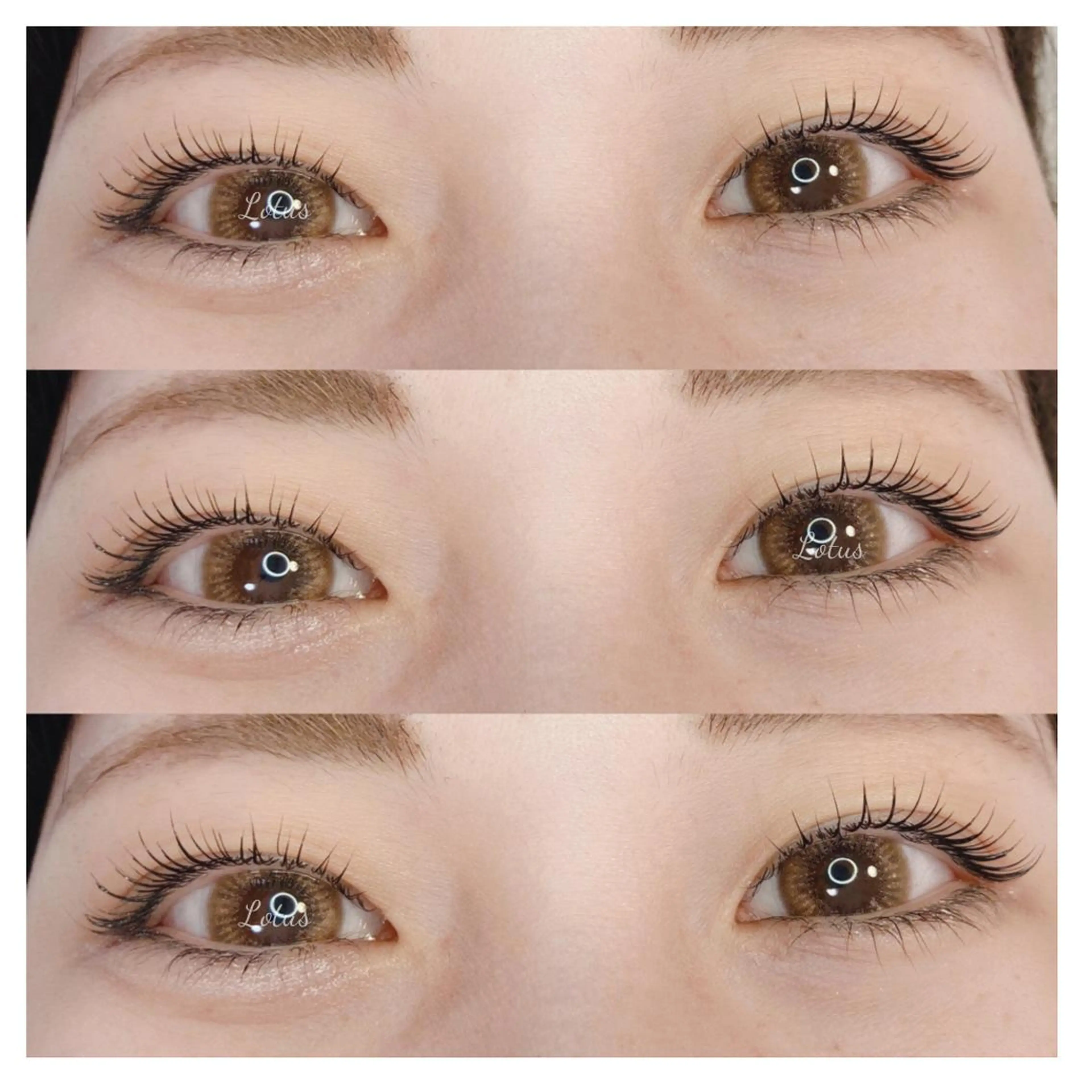 マツエク・マツパ ナチュラル マツパ Lotus所属・Lotus ロータスのマツエク・マツパデザイン