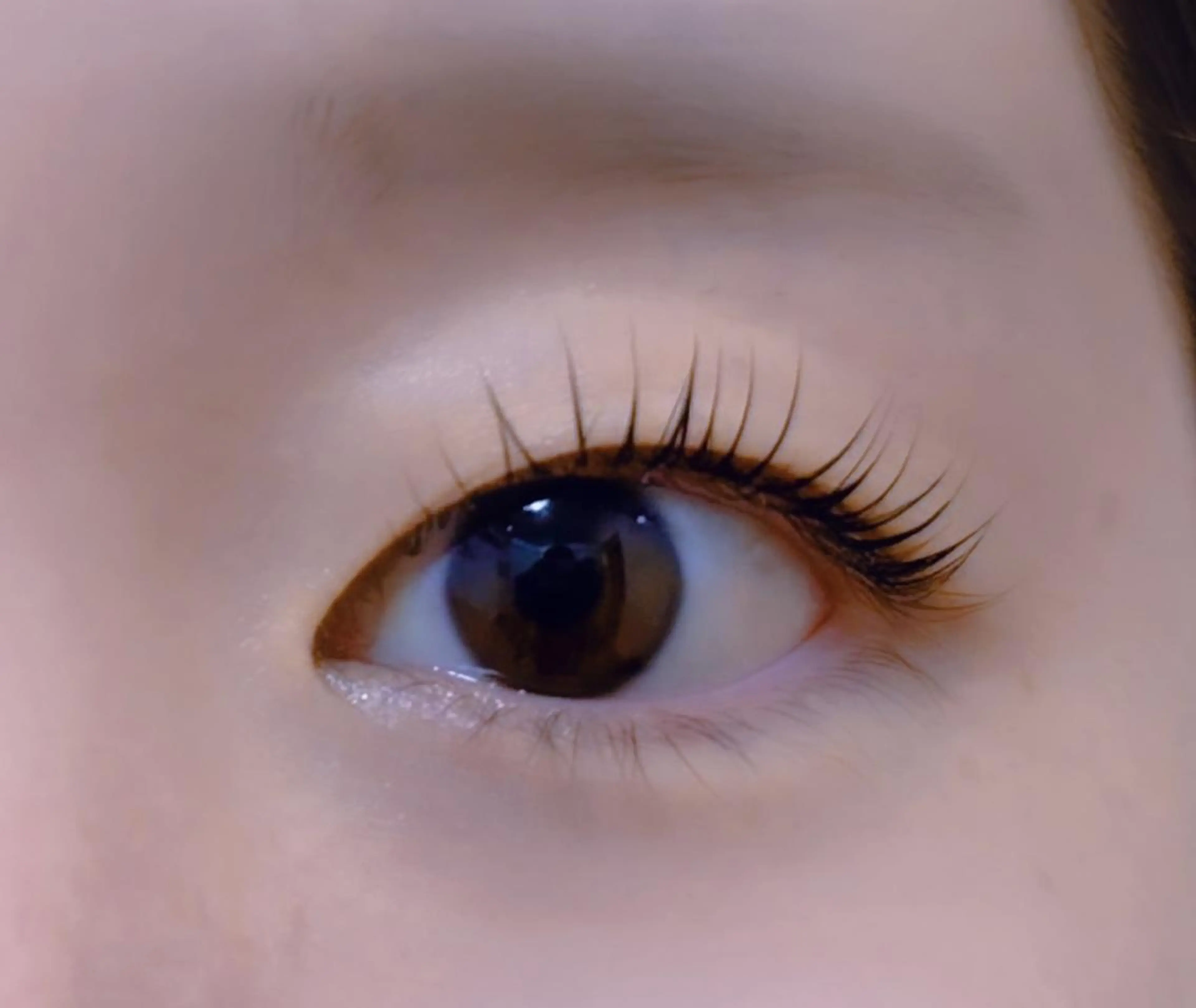 マツエク・マツパ 天王寺駅cocoa 🌷Mayuのマツエク・マツパデザイン