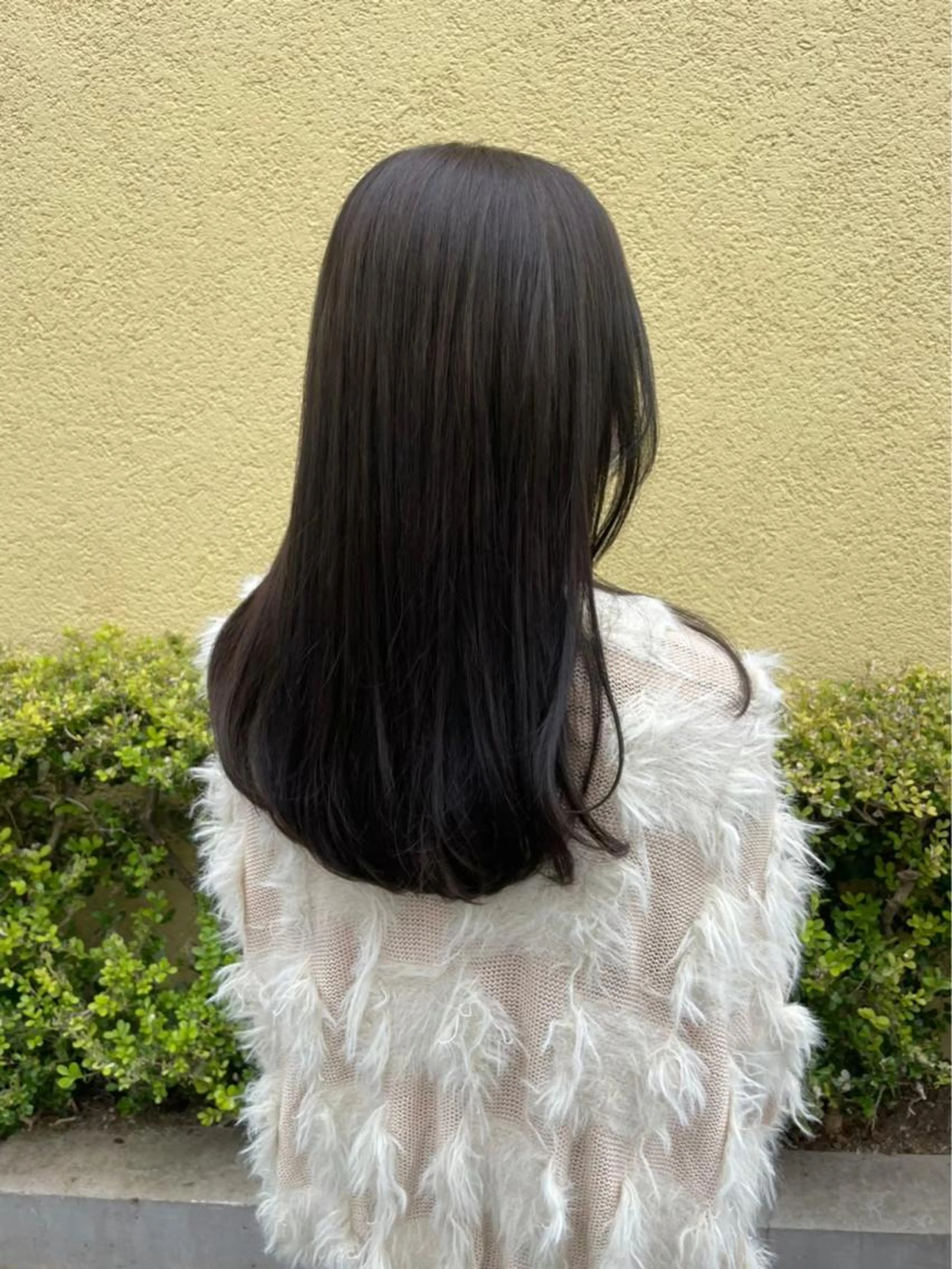 初回限定　髪質改善トリートメントの写真