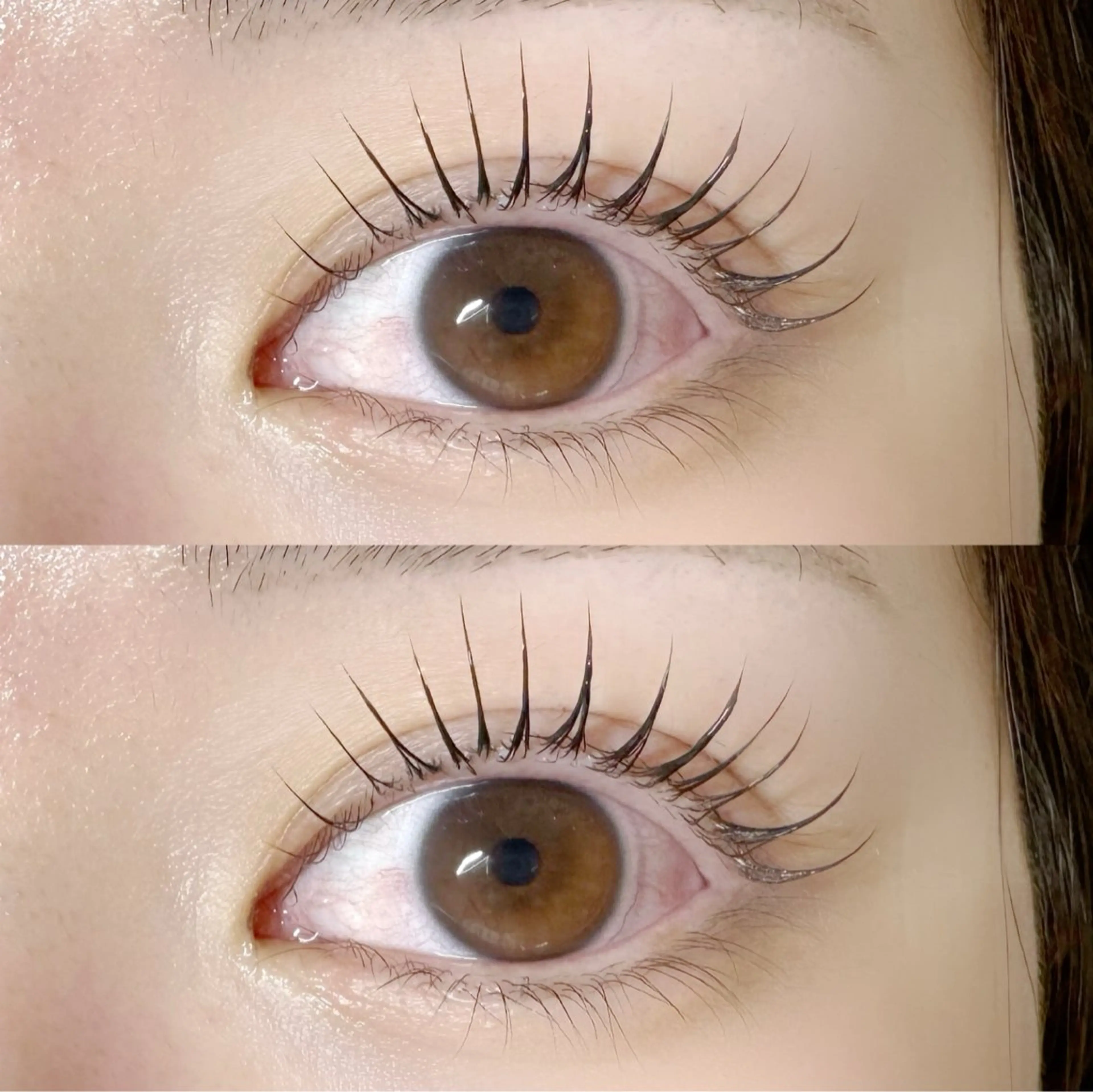 【⭐️12/1〜12/19日限定価格⭐️】ラッシュリフト🤍仕上げコーティング付き🎀の写真