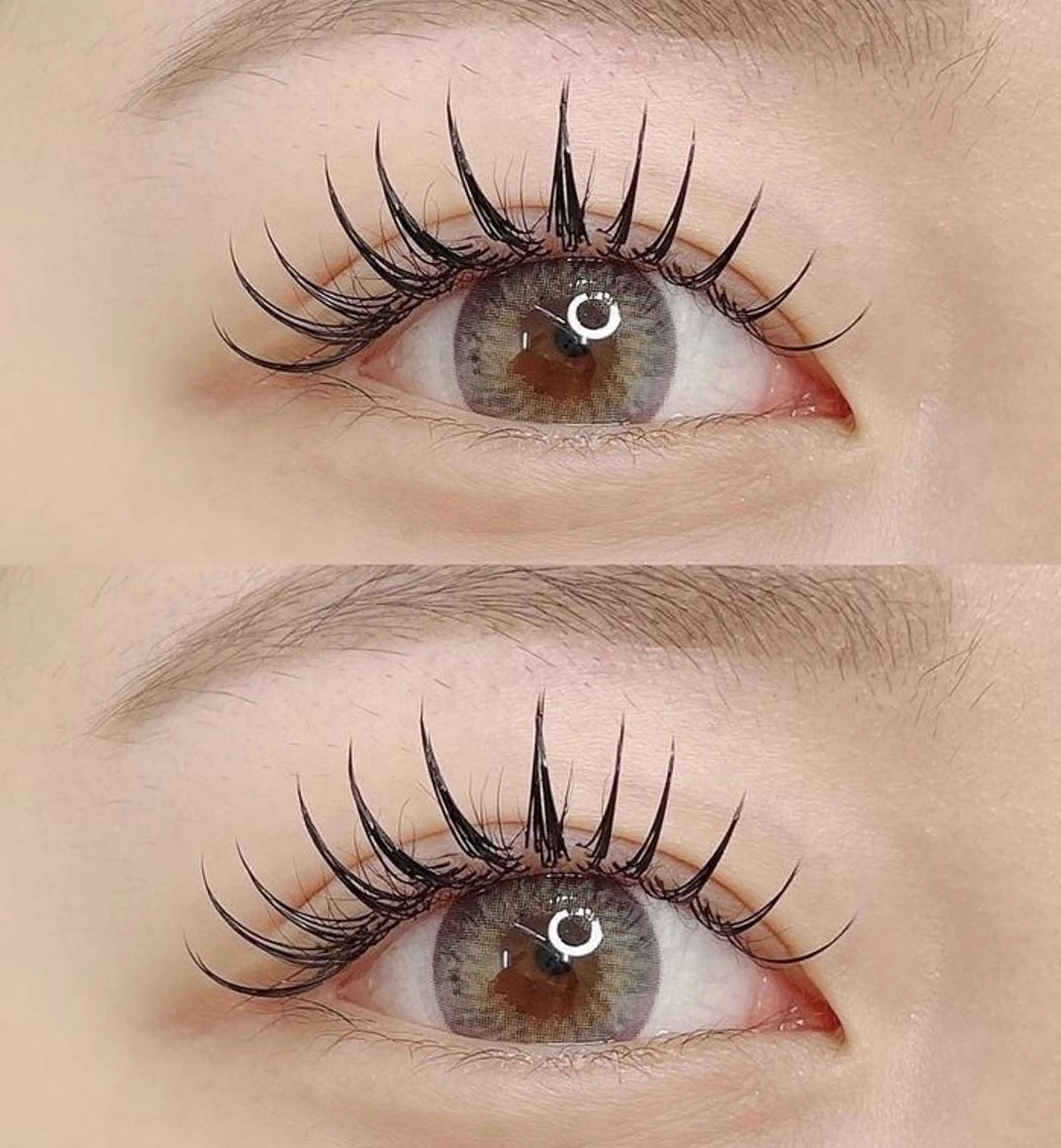 minimo限定⏰【驚異的な持続×濃さ】ダブルフラットラッシュ６０束１２０本￥4500の写真