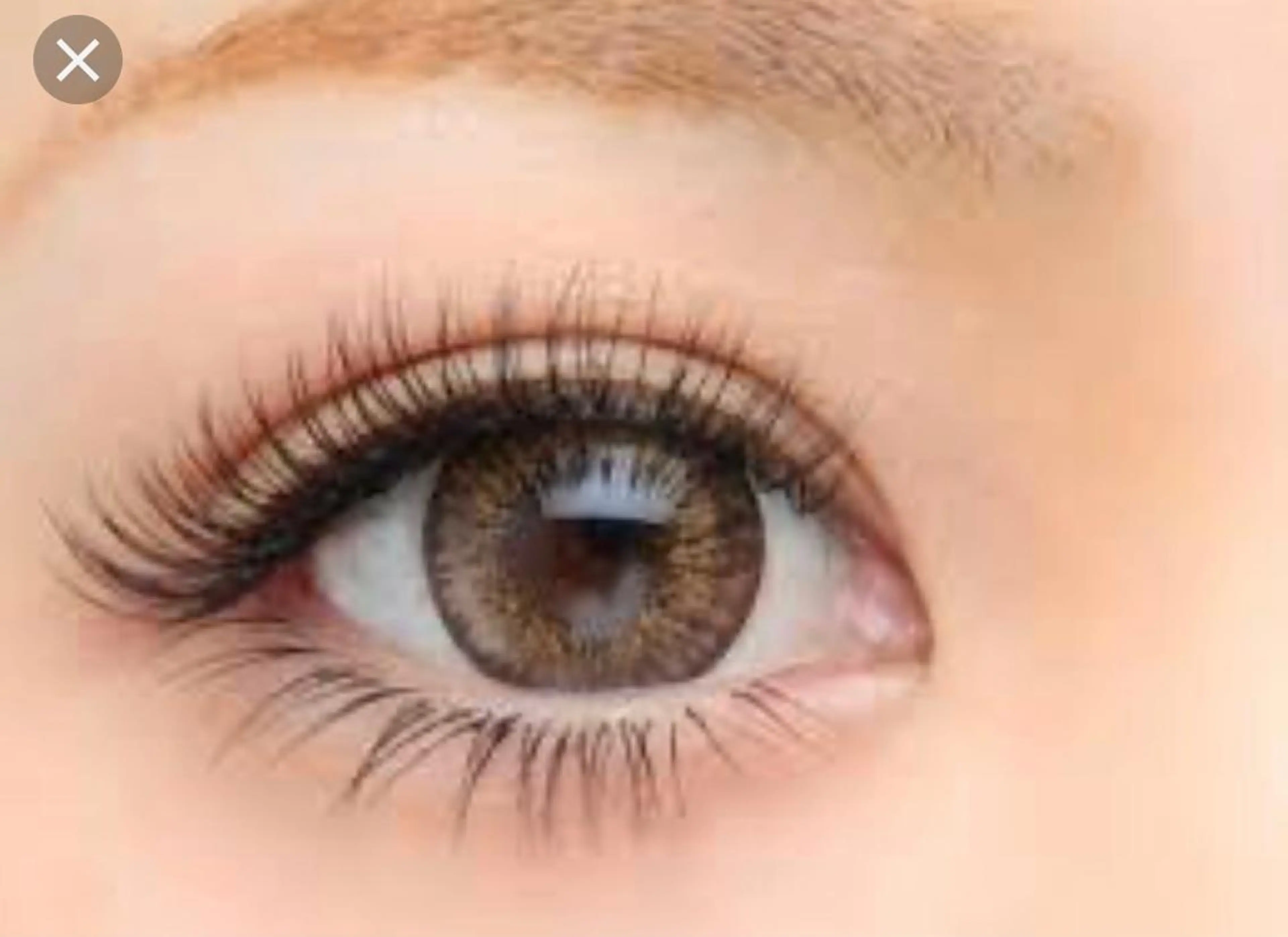 ✨ミニモ限定価格✨抗菌セーブル1時間付け放題♾️＋選べる特典🎁アイシャンプーorマツエク強化剤（取れやすい方）の写真