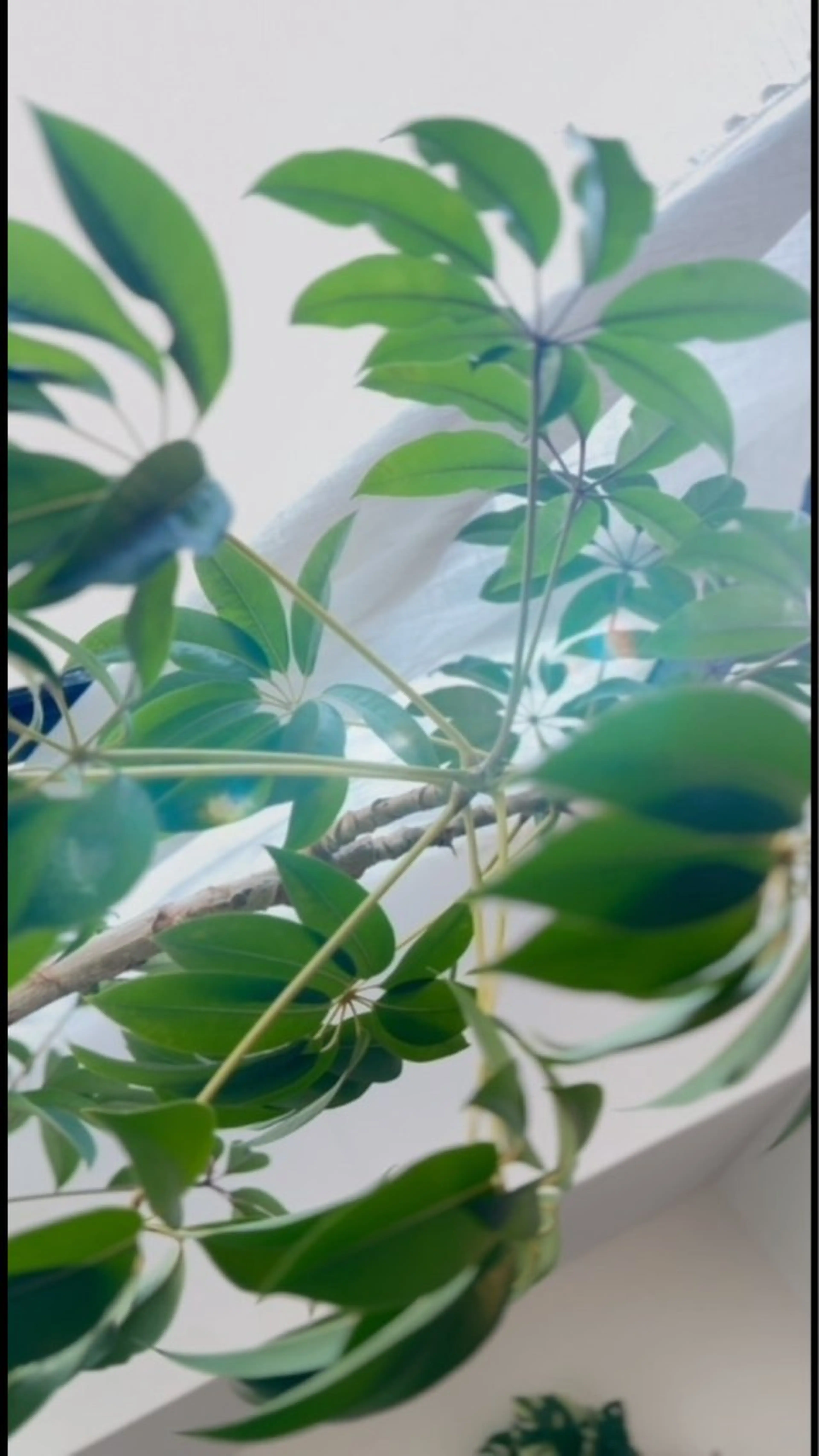 HITOYASUMI 櫻井のエステ・リラクイメージ