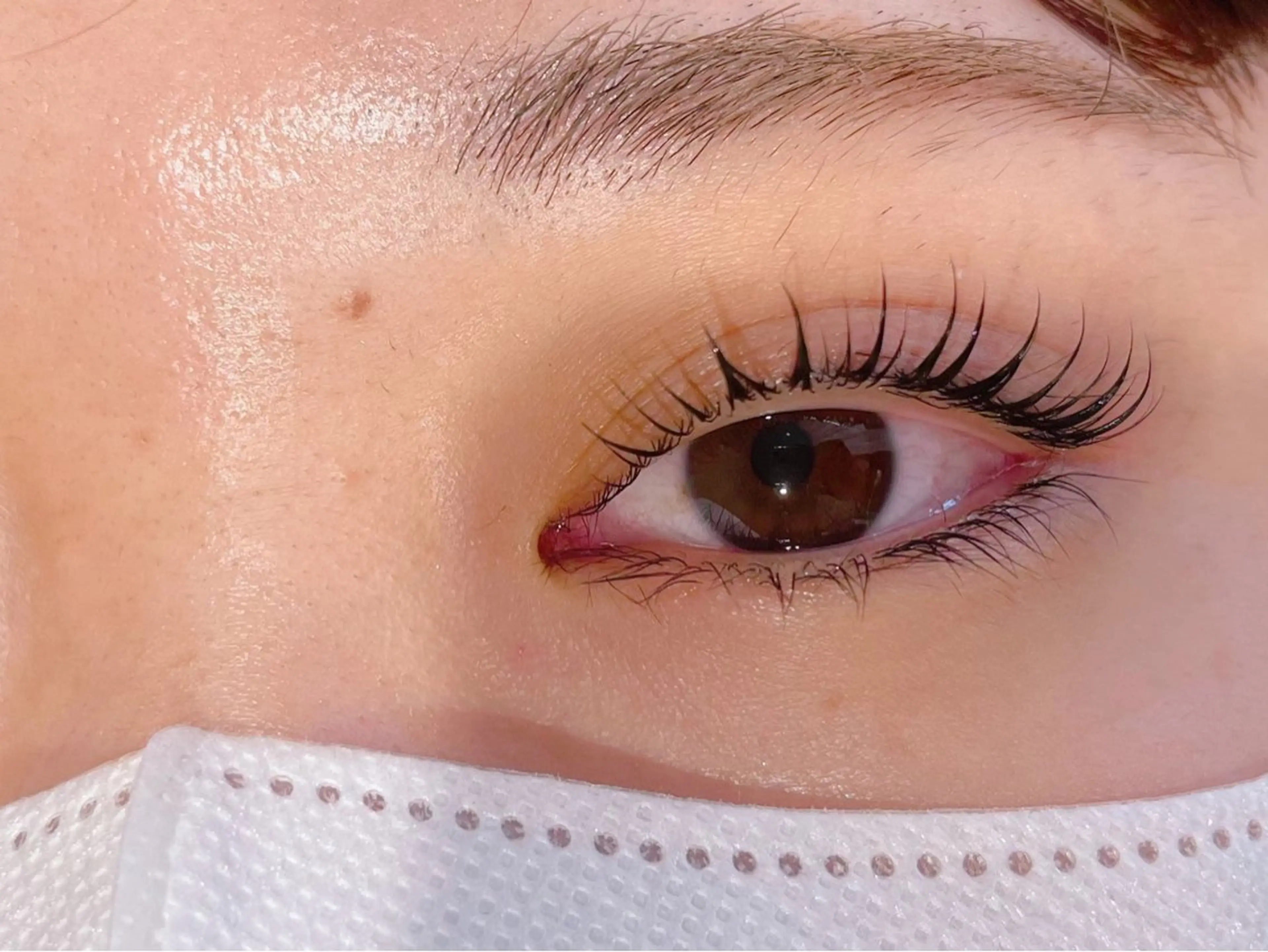 マツエク・マツパ マツパ 𝐞𝐢𝐠𝐡𝐭 MAO🖤の眉毛・アイブロウイメージ