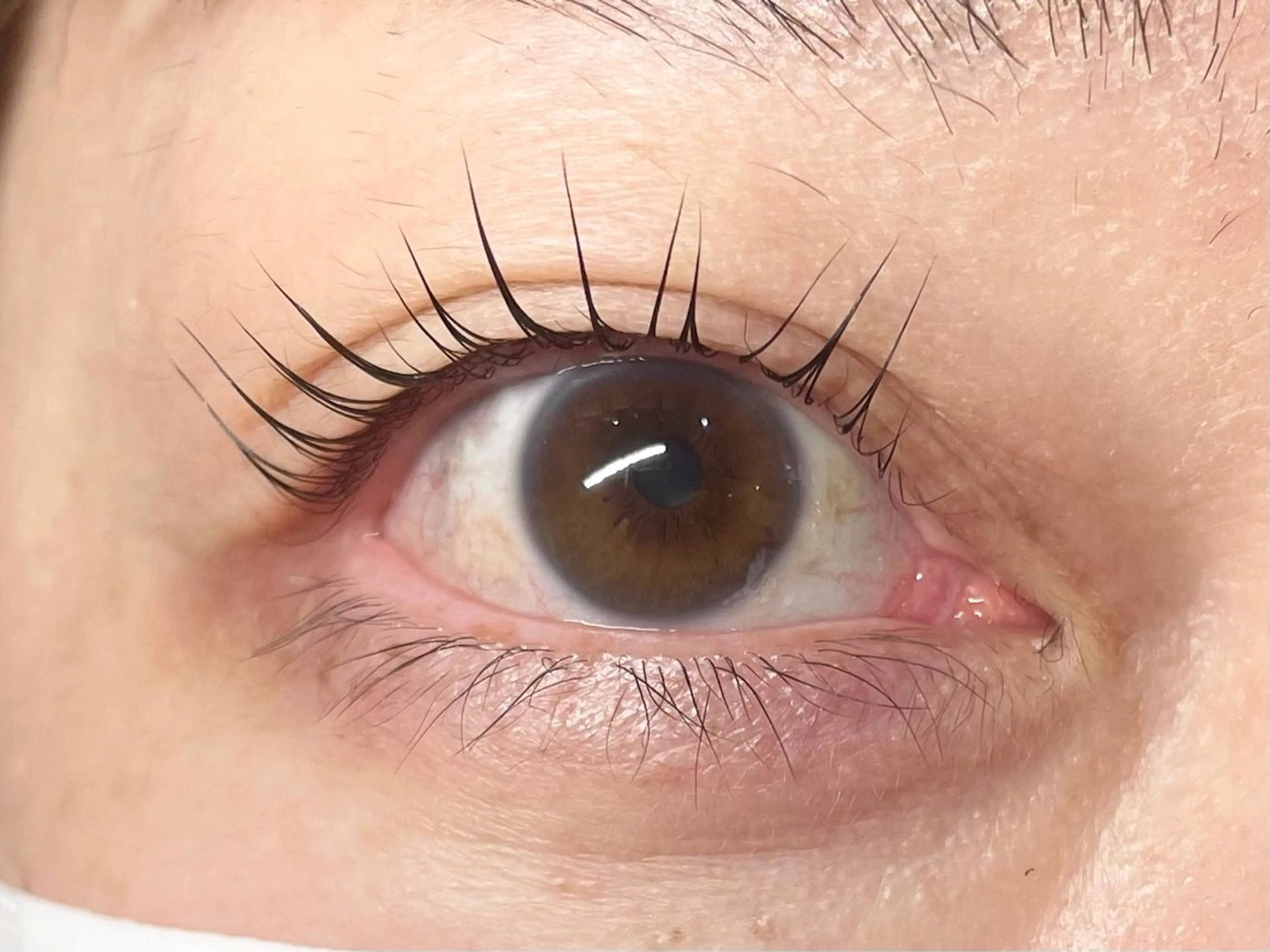 マツエク・マツパ マツパ 中村彩香 (エフドゥ)のマツエク・マツパデザイン