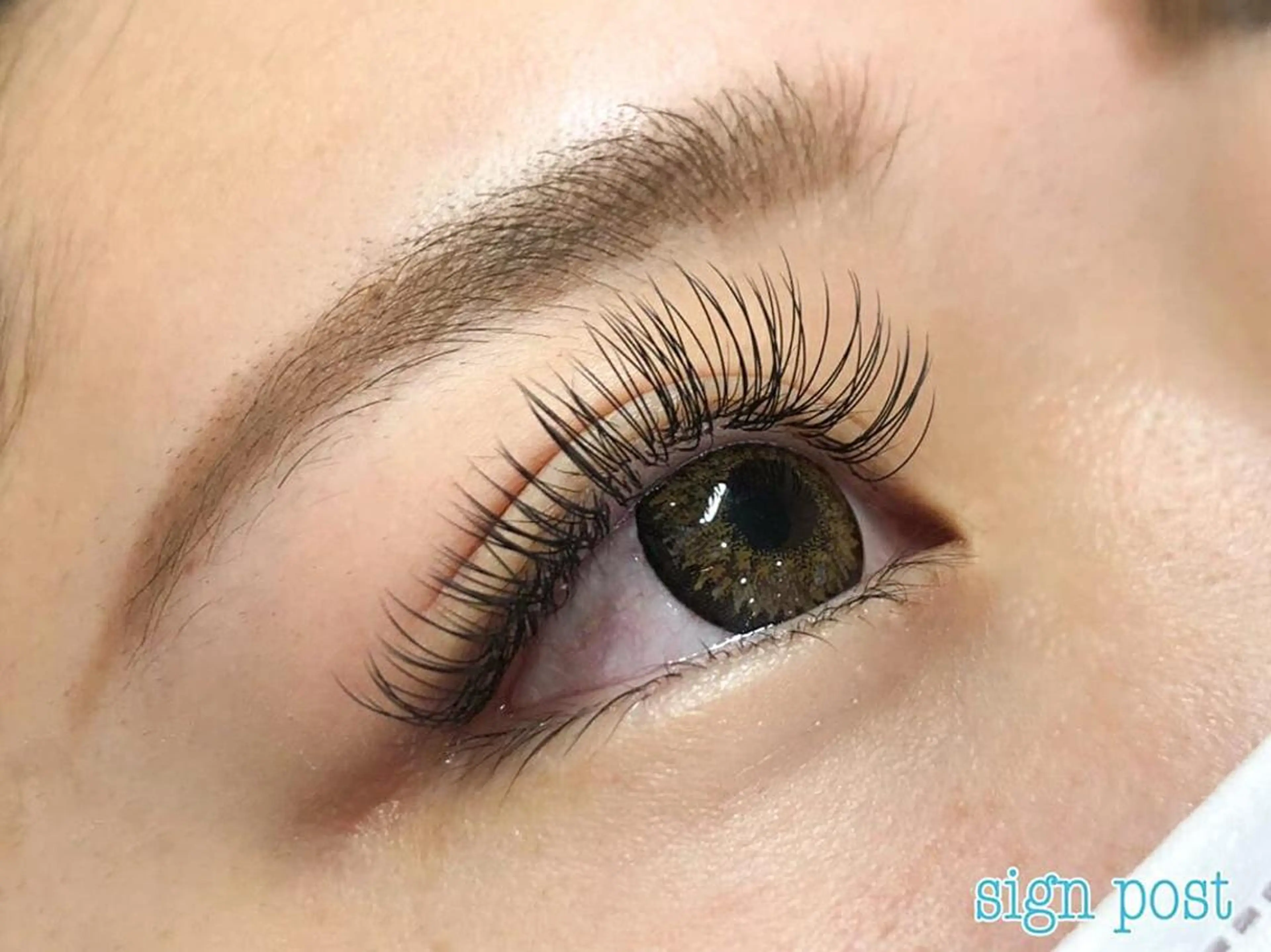 マツエク・マツパ Luana所属・🕊 Luana 🌷︎の眉毛・アイブロウイメージ