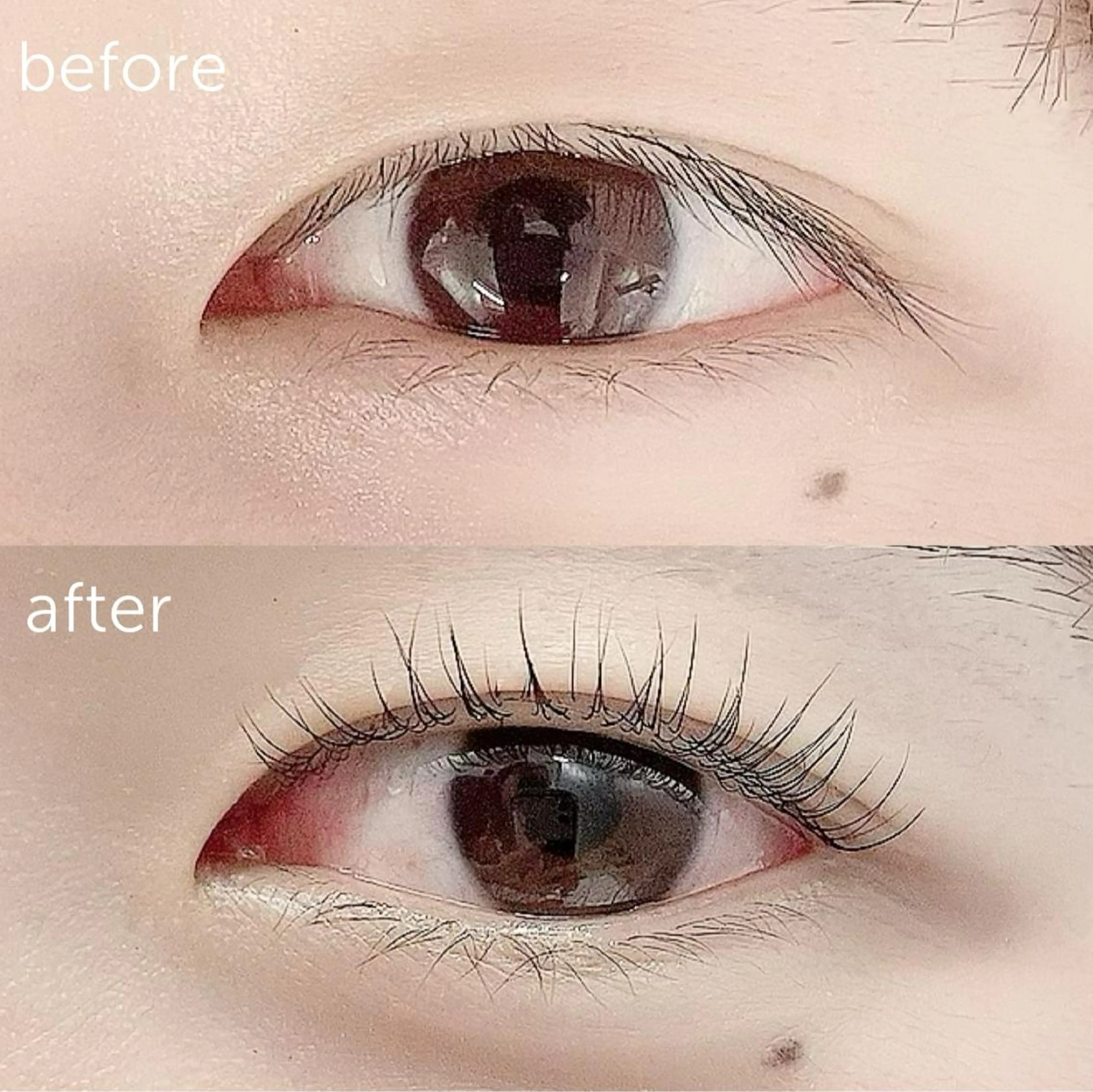 マツエク・マツパ パリジェンヌラッシュリフト ロレインブロウ横浜店所属・🤍アイリスト kana🤍のマツエク・マツパデザイン