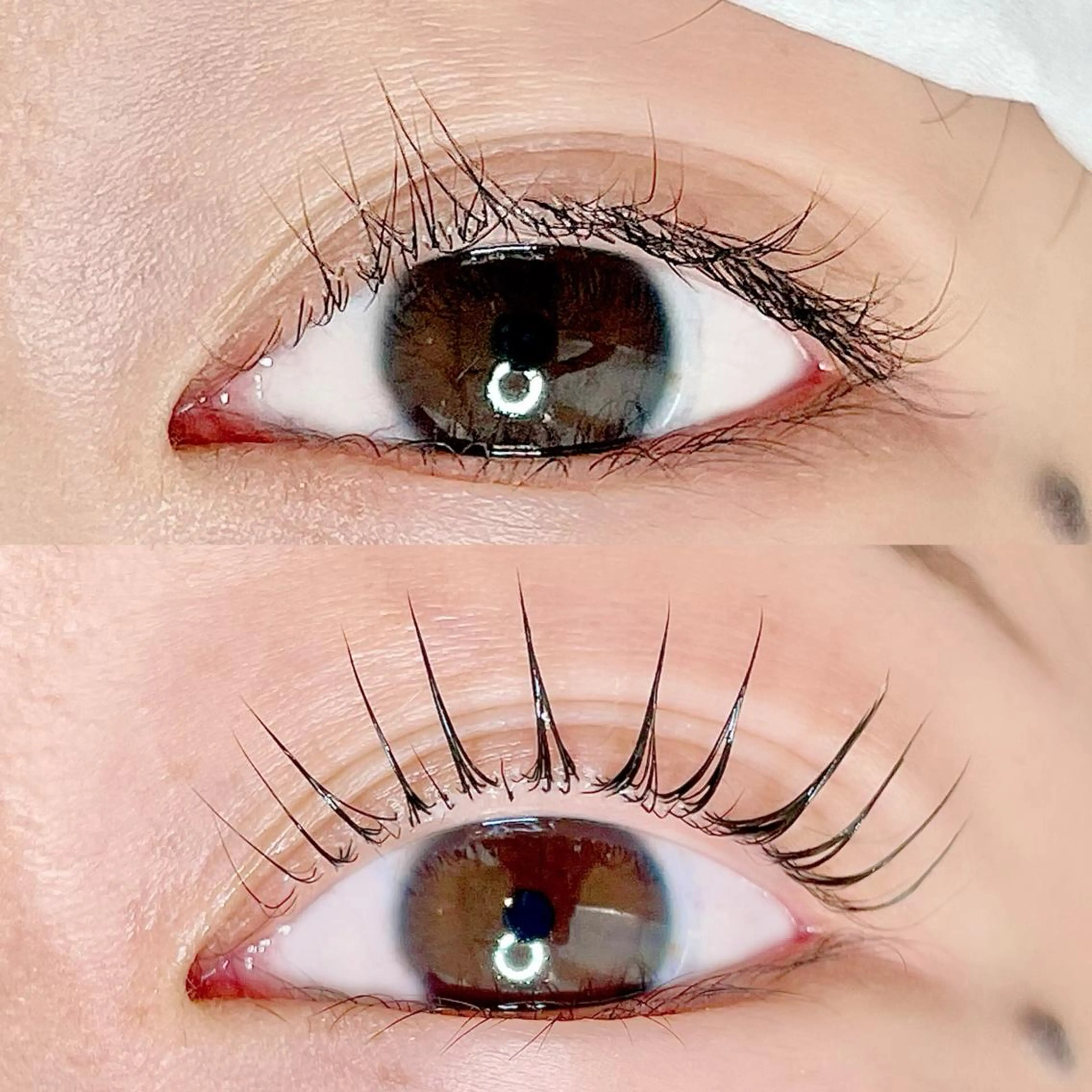 マツエク・マツパ AYLASH🧡 猪又のマツエク・マツパデザイン