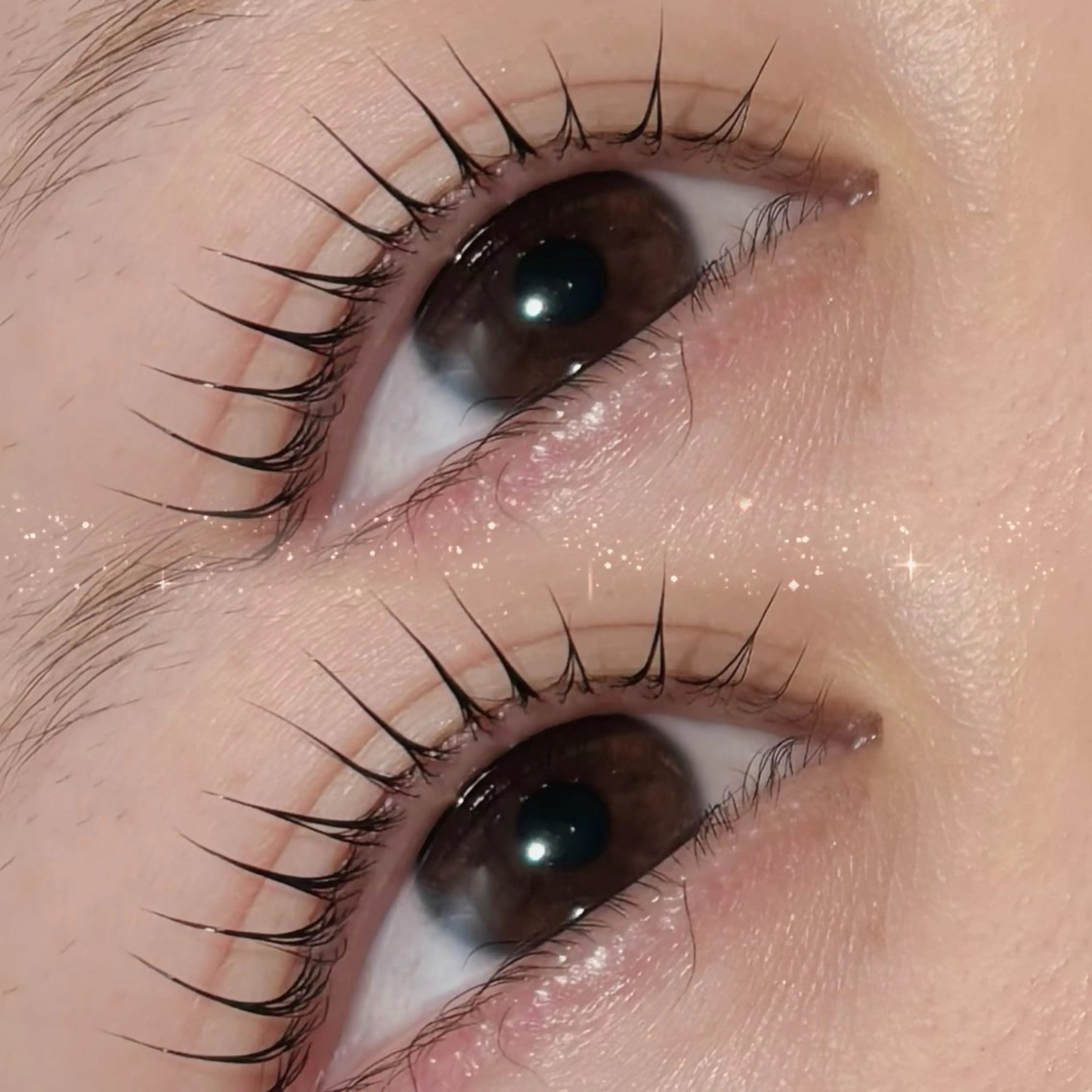 12月限定価格🎄❤️✨似合わせまつげパーマの写真