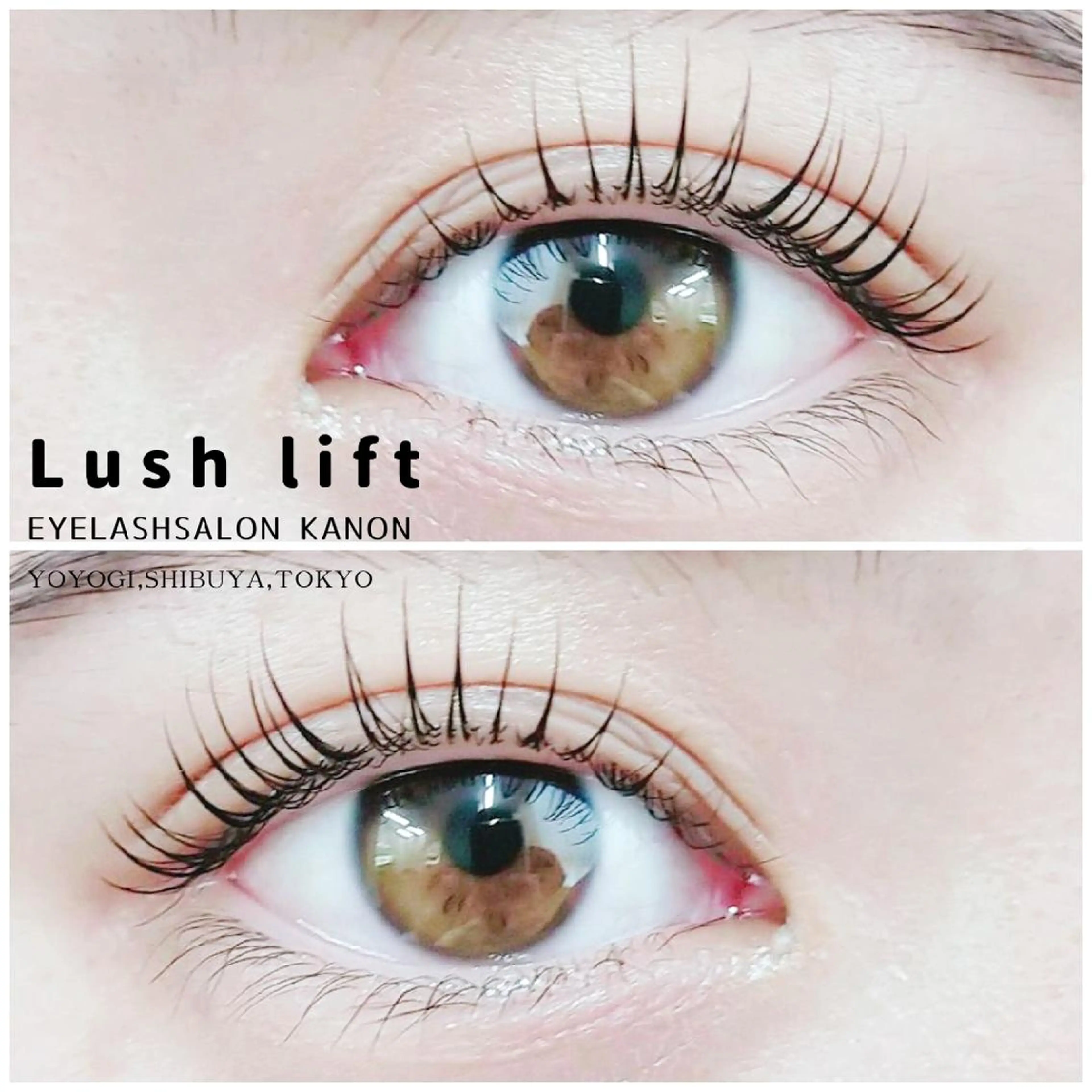 20代限定 まつぱorまつえく+ ﾊﾘｳｯﾄﾞﾌﾞﾛｳﾘﾌﾄ/眉毛ワックス　2回目以降は+8200円の写真