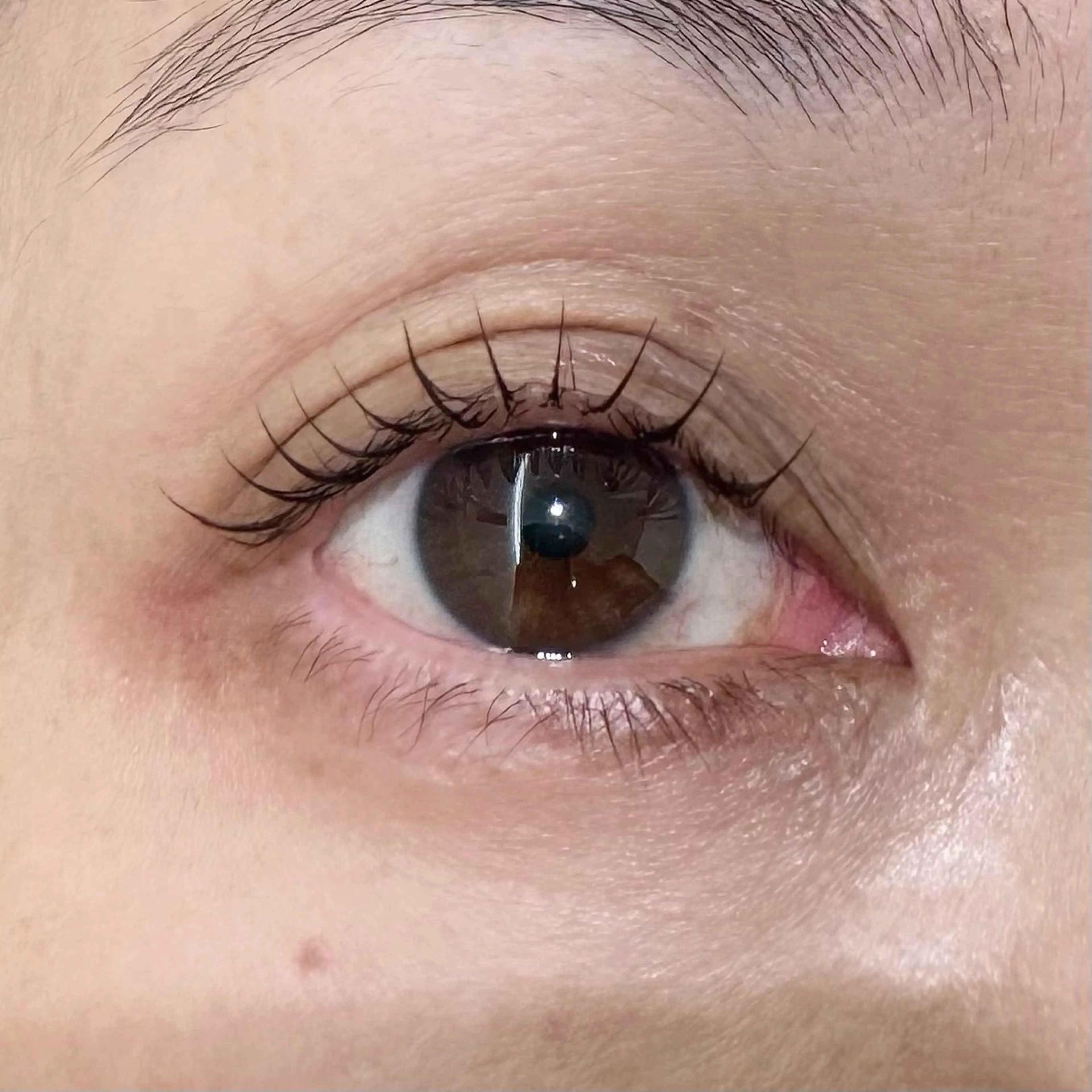 マツエク・マツパ マツエク まつパ/まつエク /横浜　🤍木村🤍のマツエク・マツパデザイン