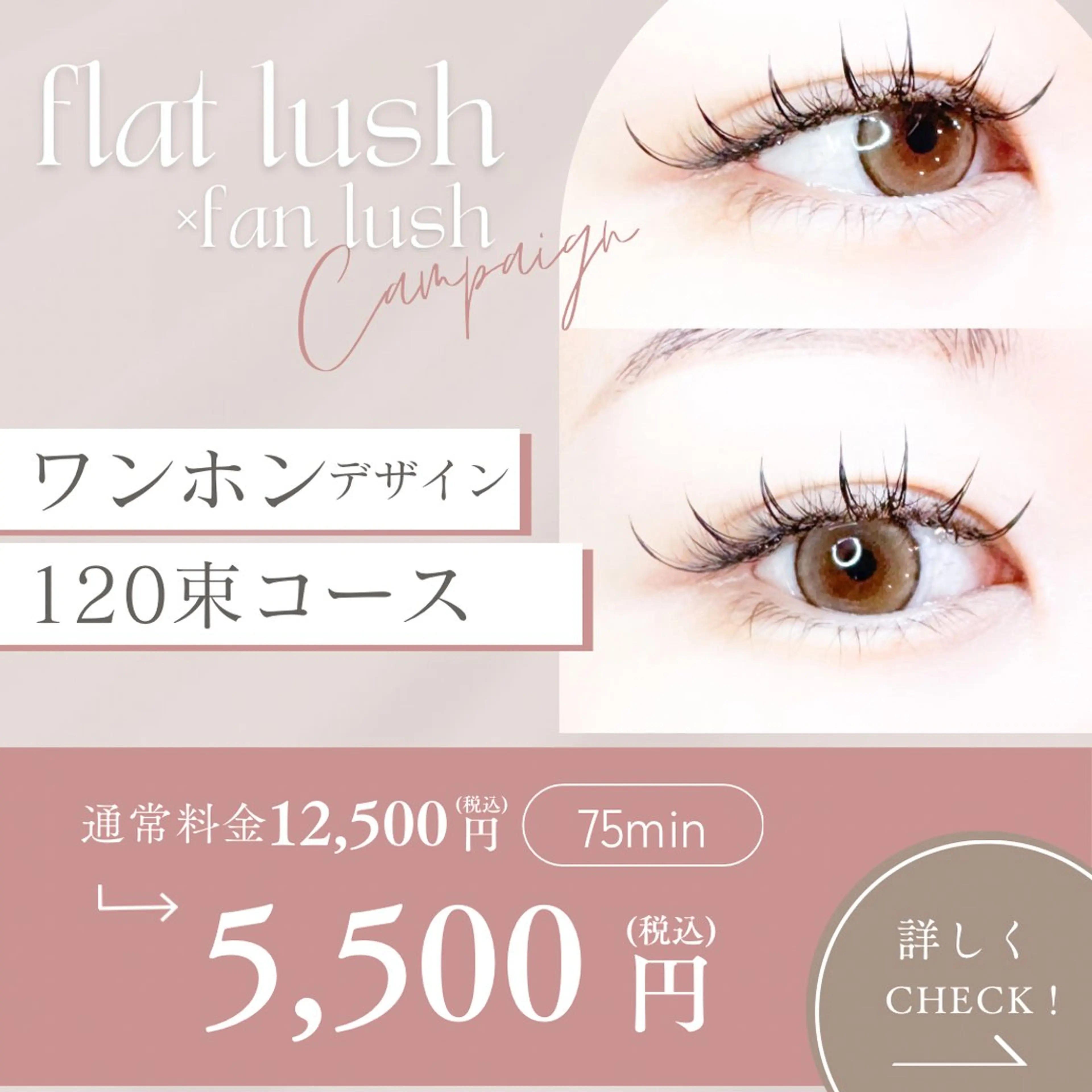 🐈‍⬛🎀綱紅デザイン×120束コース🎀🐈‍⬛今だけ！限定価格（下記注意事項必読お願いします🙇）土日祝＋500円の写真