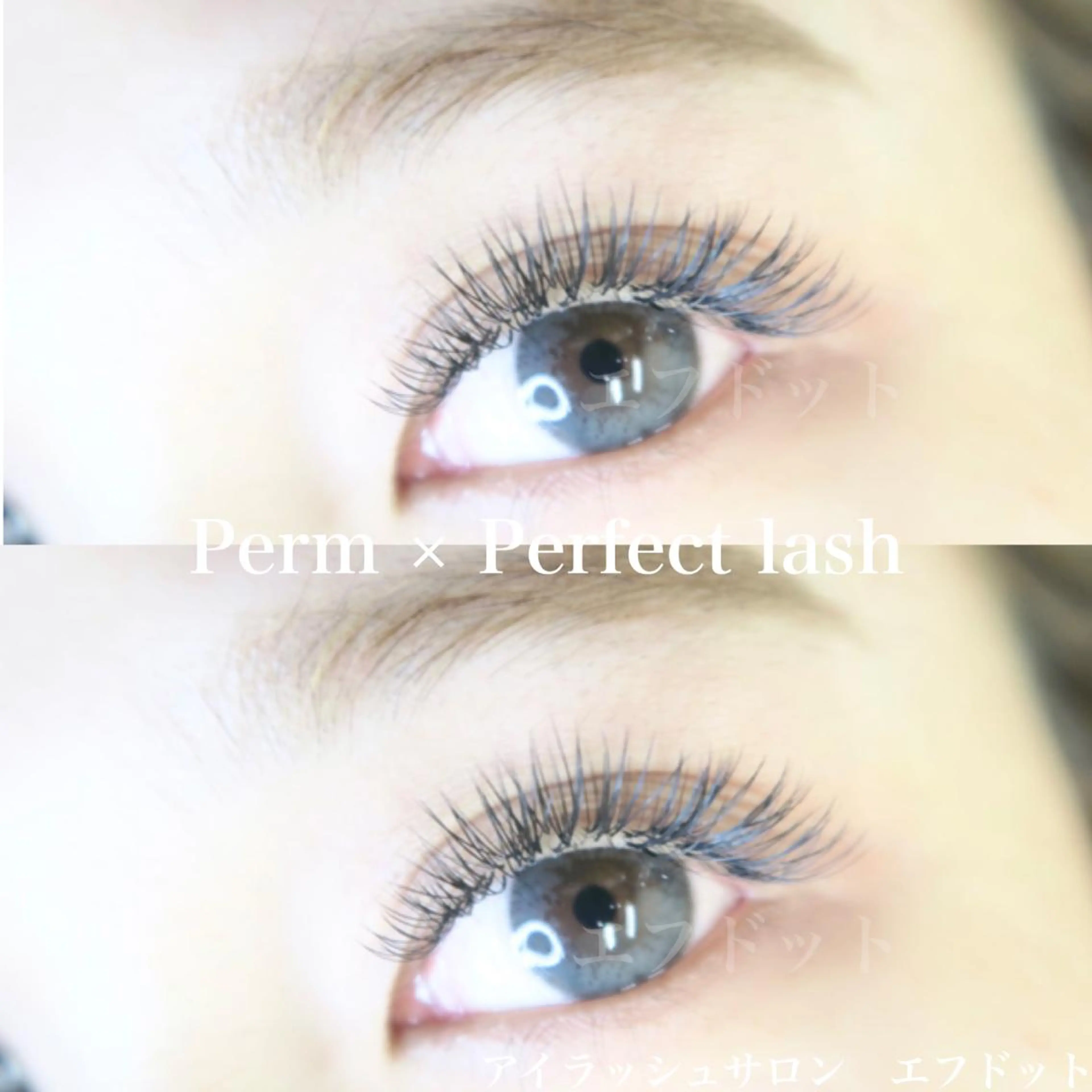 マツエク・マツパ f.【エフドット】 二俣川のマツエク・マツパデザイン