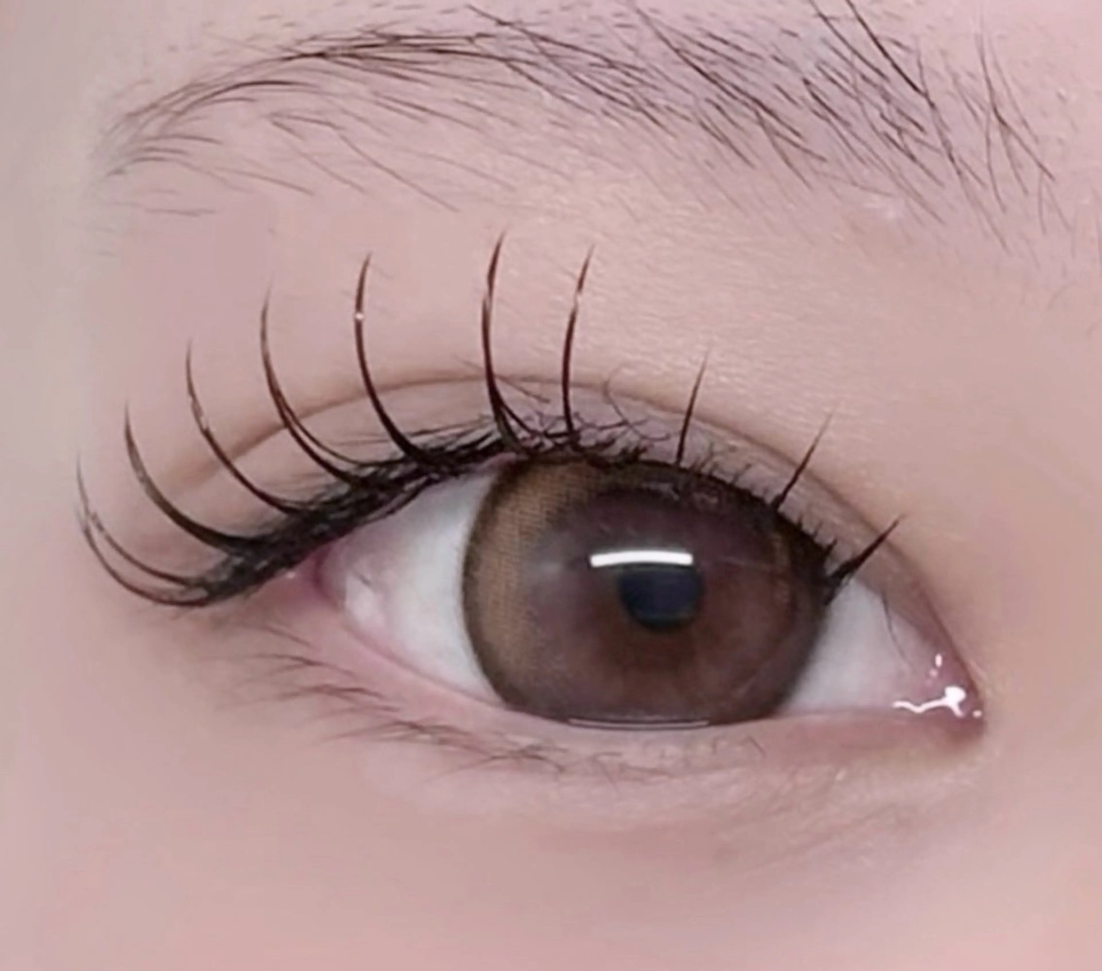 🎀Jr eyelist 🎀マツエク付け放題120本まで💛(オフ無し)の写真