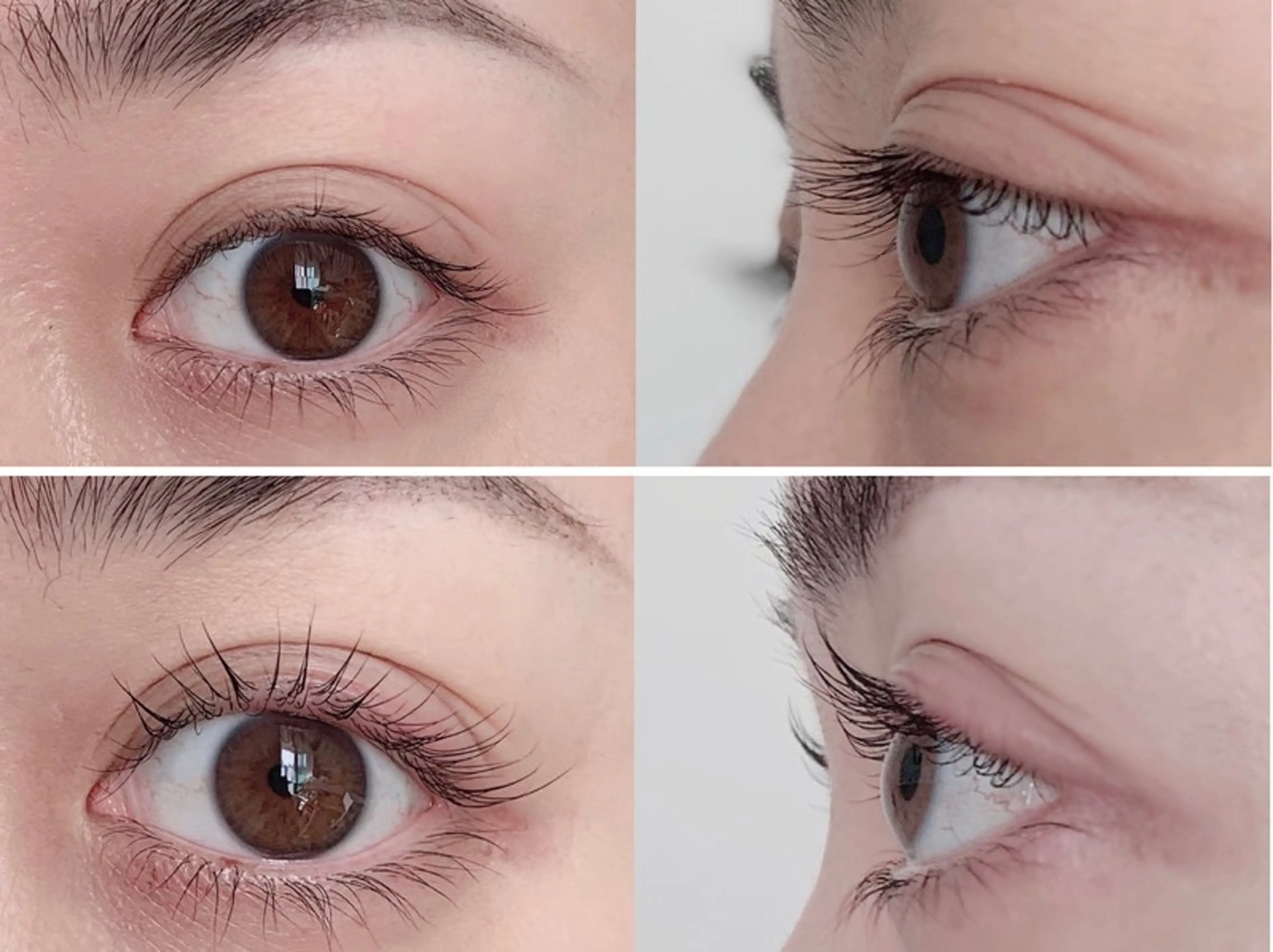 マツエク・マツパ Plumeria Ashliy大宮所属・plumeria Ashliyのマツエク・マツパデザイン