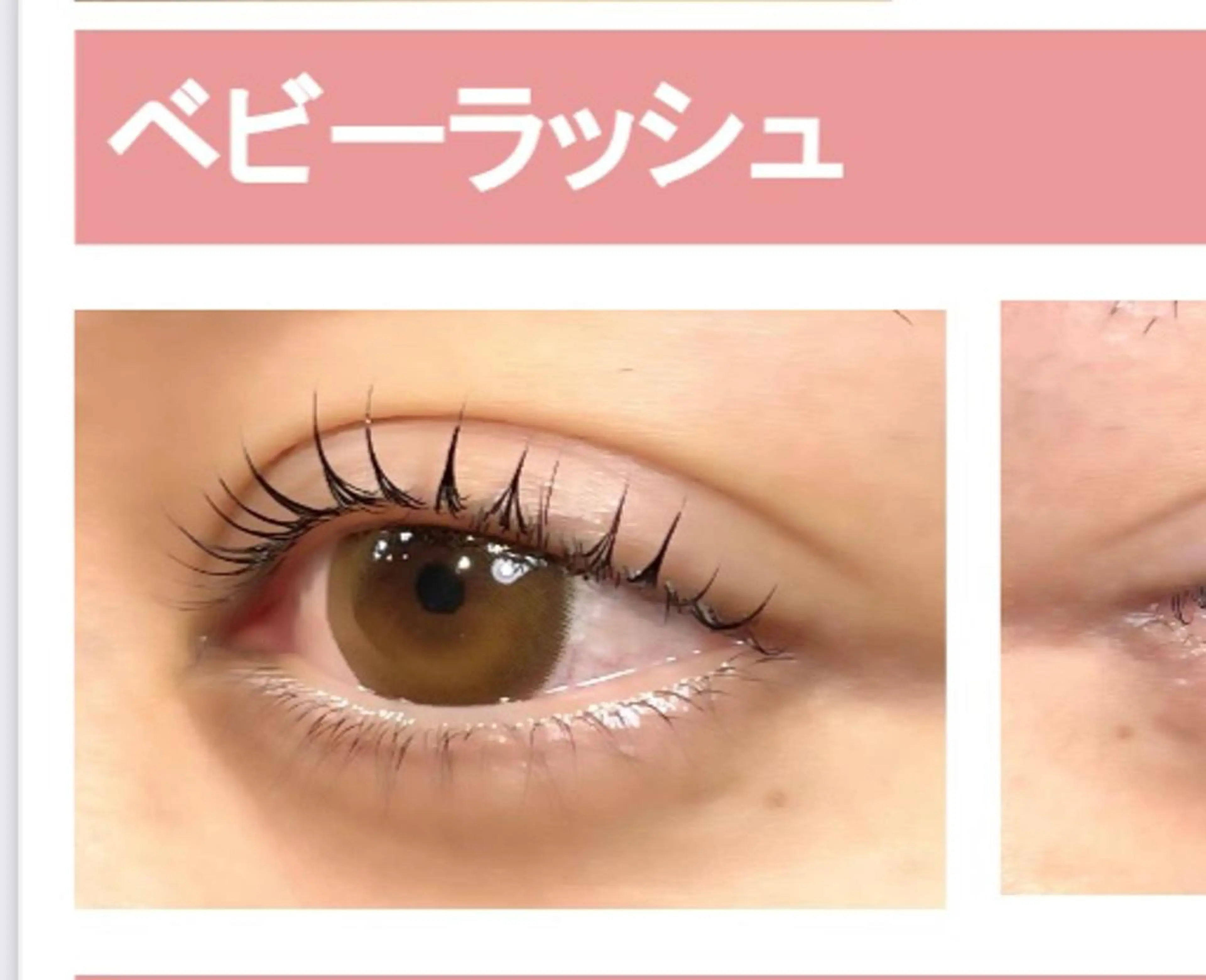 ベビーラッシュの写真