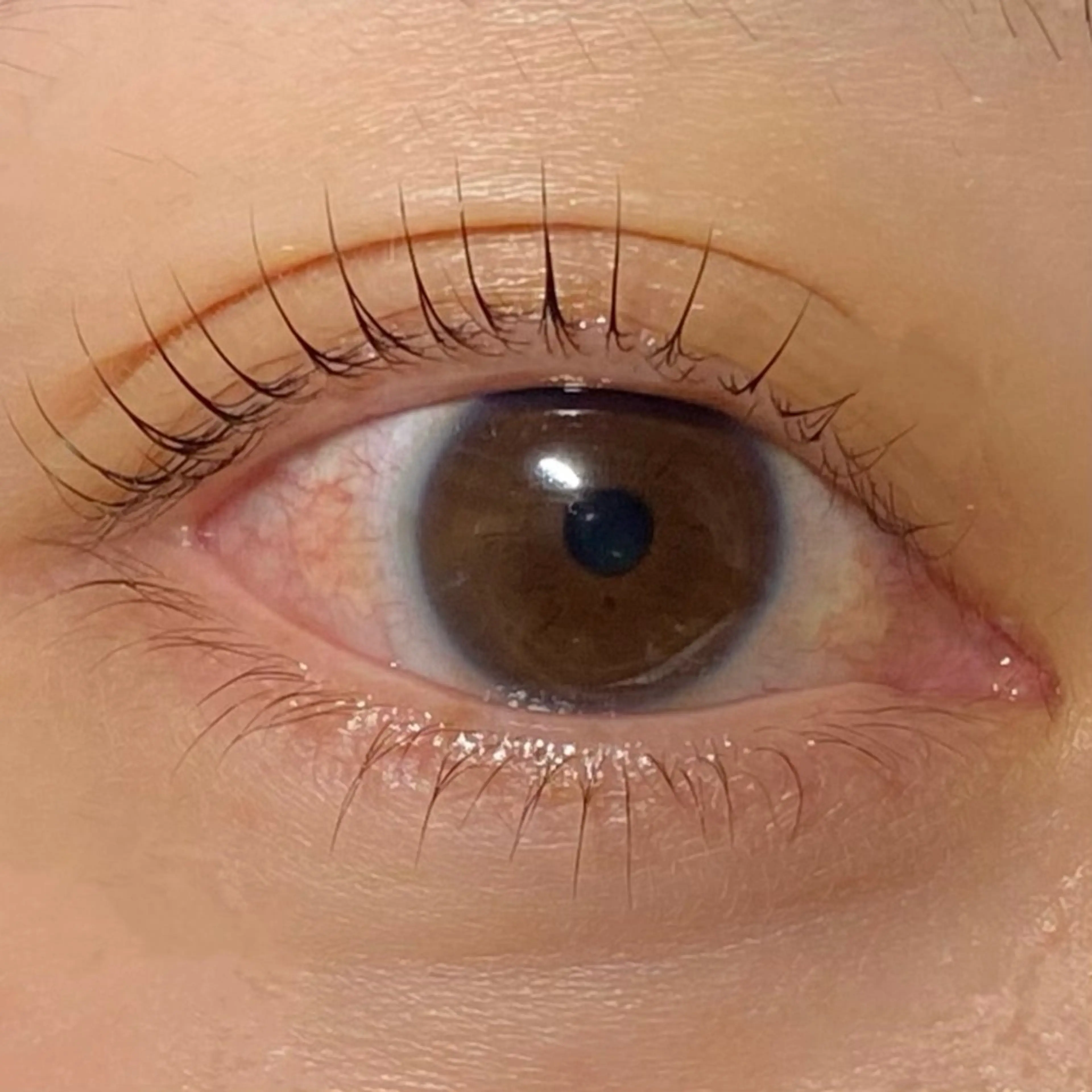 マツエク・マツパ 一重×まつ毛パーマ Eyelash Salon Ola.所属・Ola. namiのマツエク・マツパデザイン