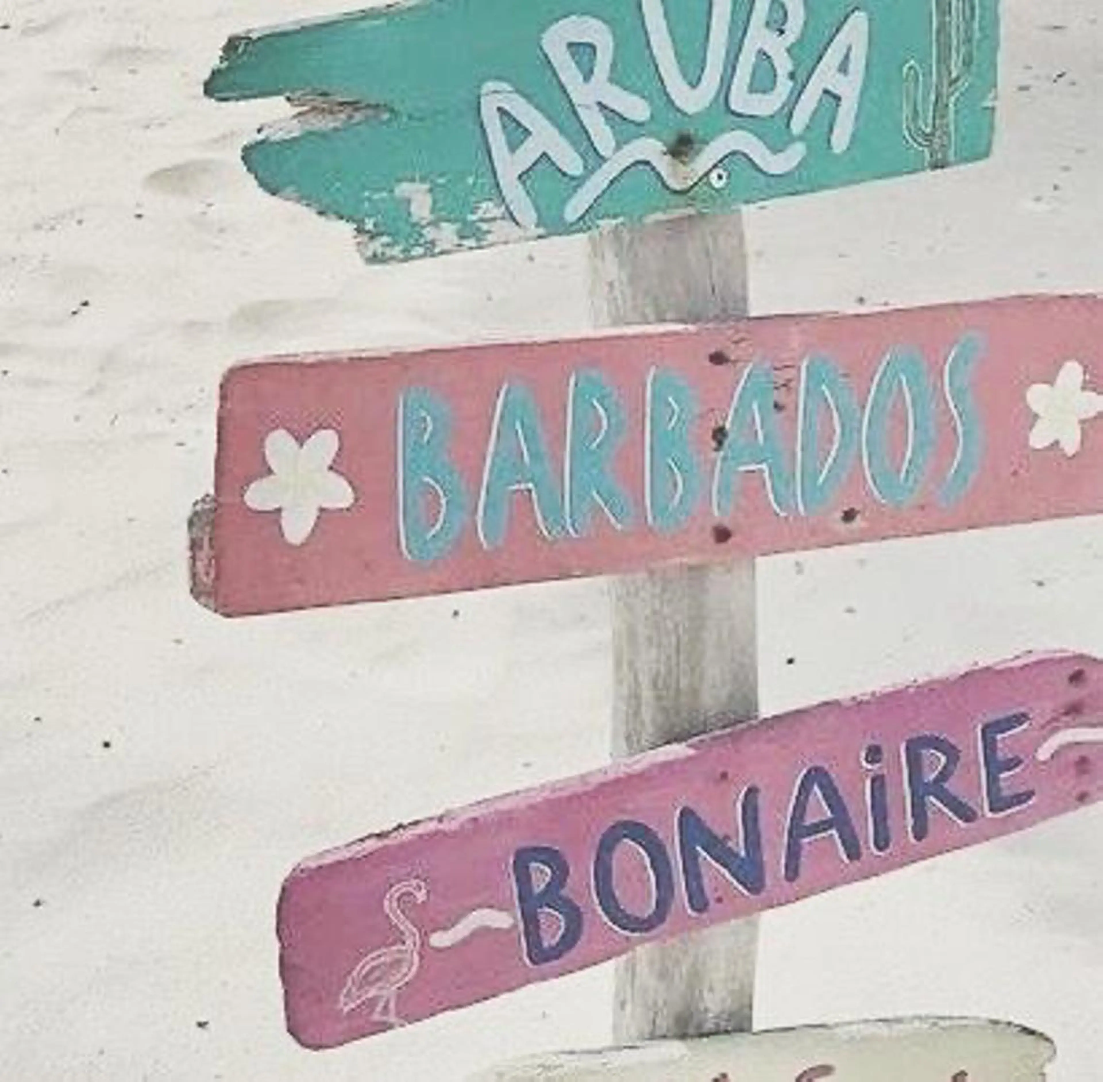 ∴Sanae. ∴ トータルビューティーのネイルデザイン