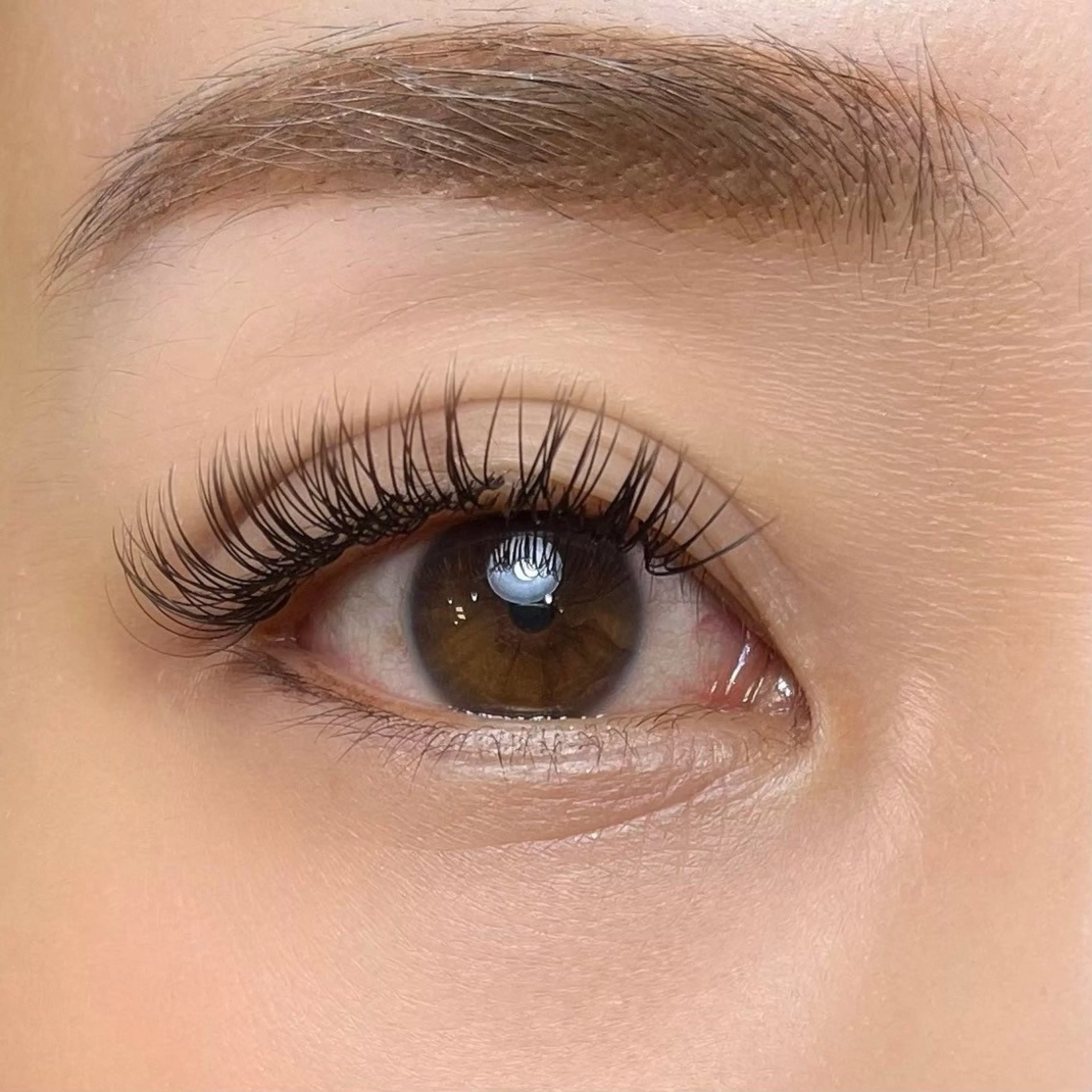 ミニモ限定❣️バインドロック100束の写真