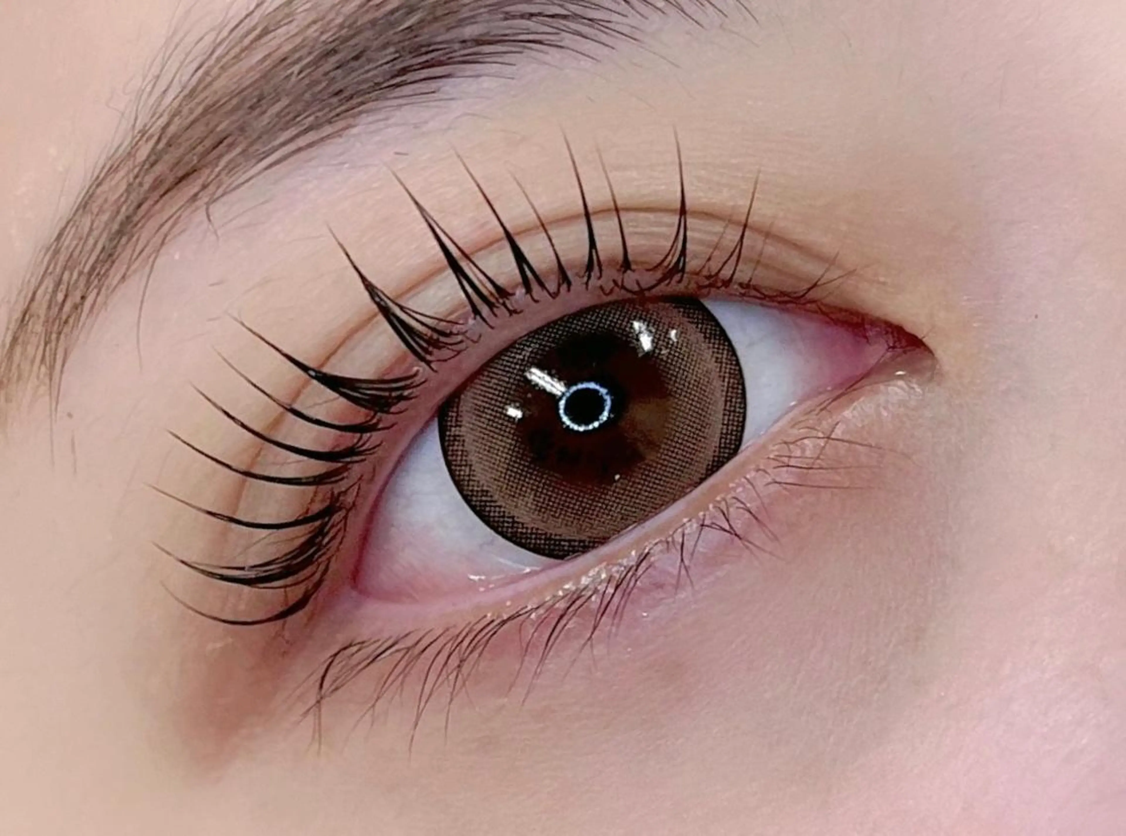 12月29.30.1/5.6.7.8日限定Jr.eyelist⭐️パリジェンヌ、Uカールロッド選択可👀♡17時まで♪の写真