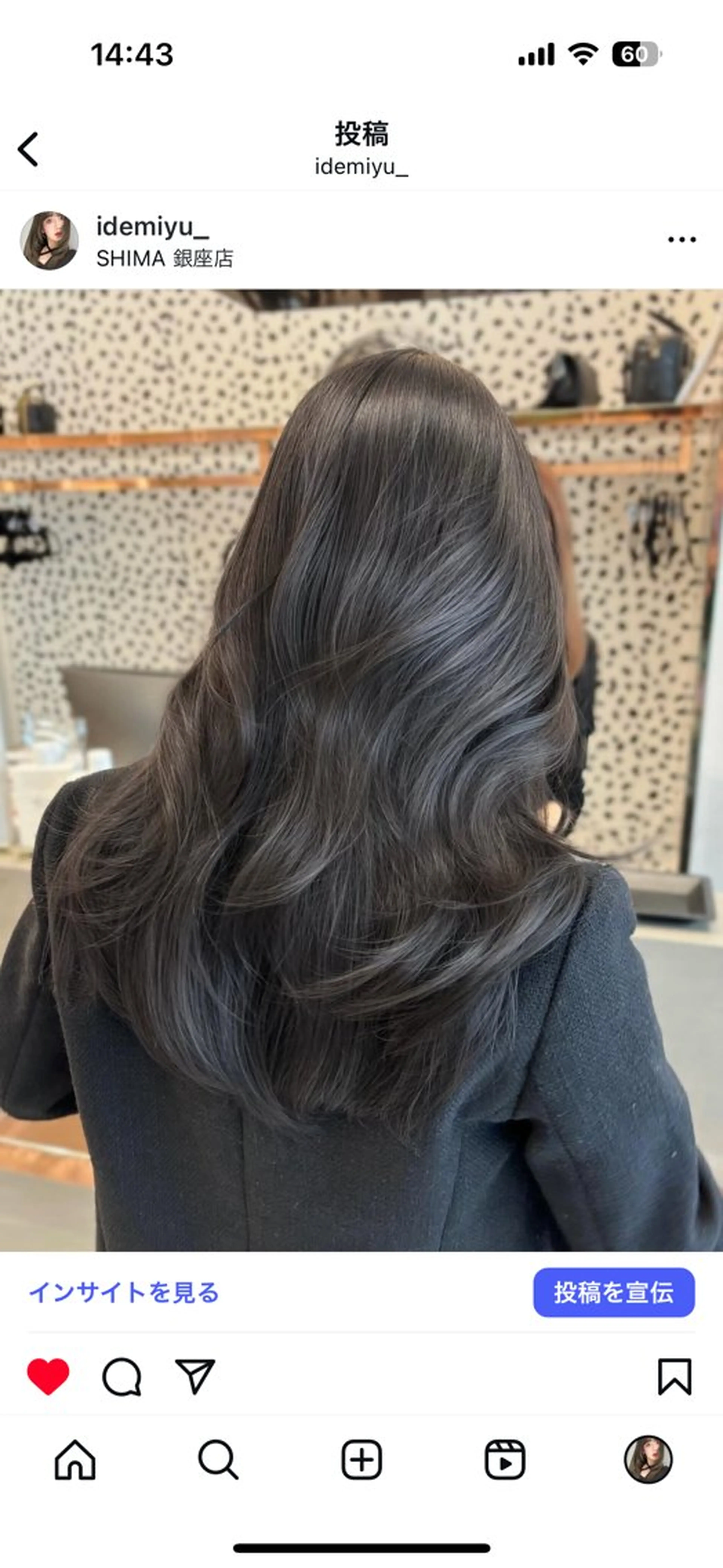 カラー ダークグレー ダークグレージュ グレージュ カット ヘアカラー SALOWIN銀座一丁目所属・透明感カラー/レイヤ ーカット🤍miyuのヘアスタイル