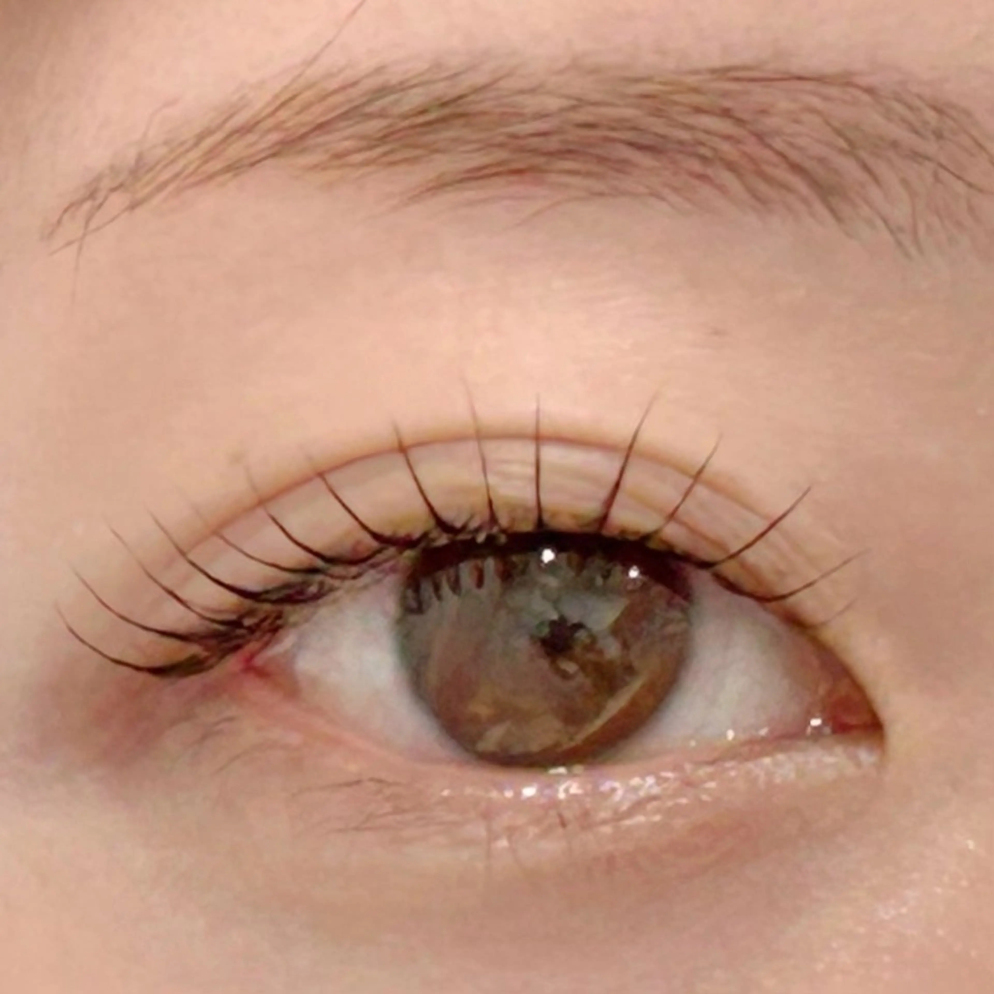 マツエク・マツパ パリジェンヌラッシュリフト 一重×まつ毛パーマ BellFlower Aki(眉・まつげ)のマツエク・マツパデザイン