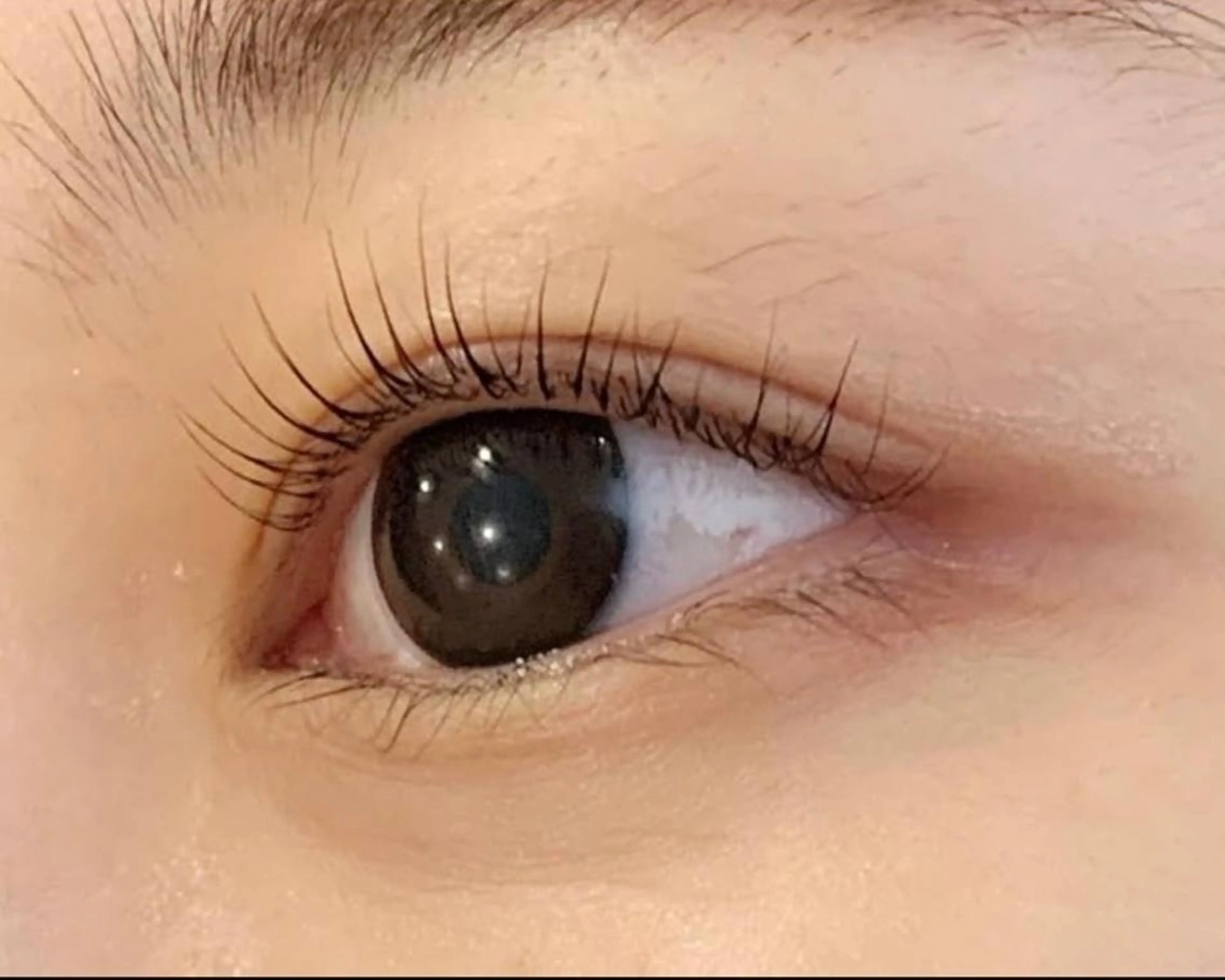 マツエク・マツパ パリジェンヌラッシュリフト 🪞理想のお目元に ✨meache🎠のマツエク・マツパデザイン