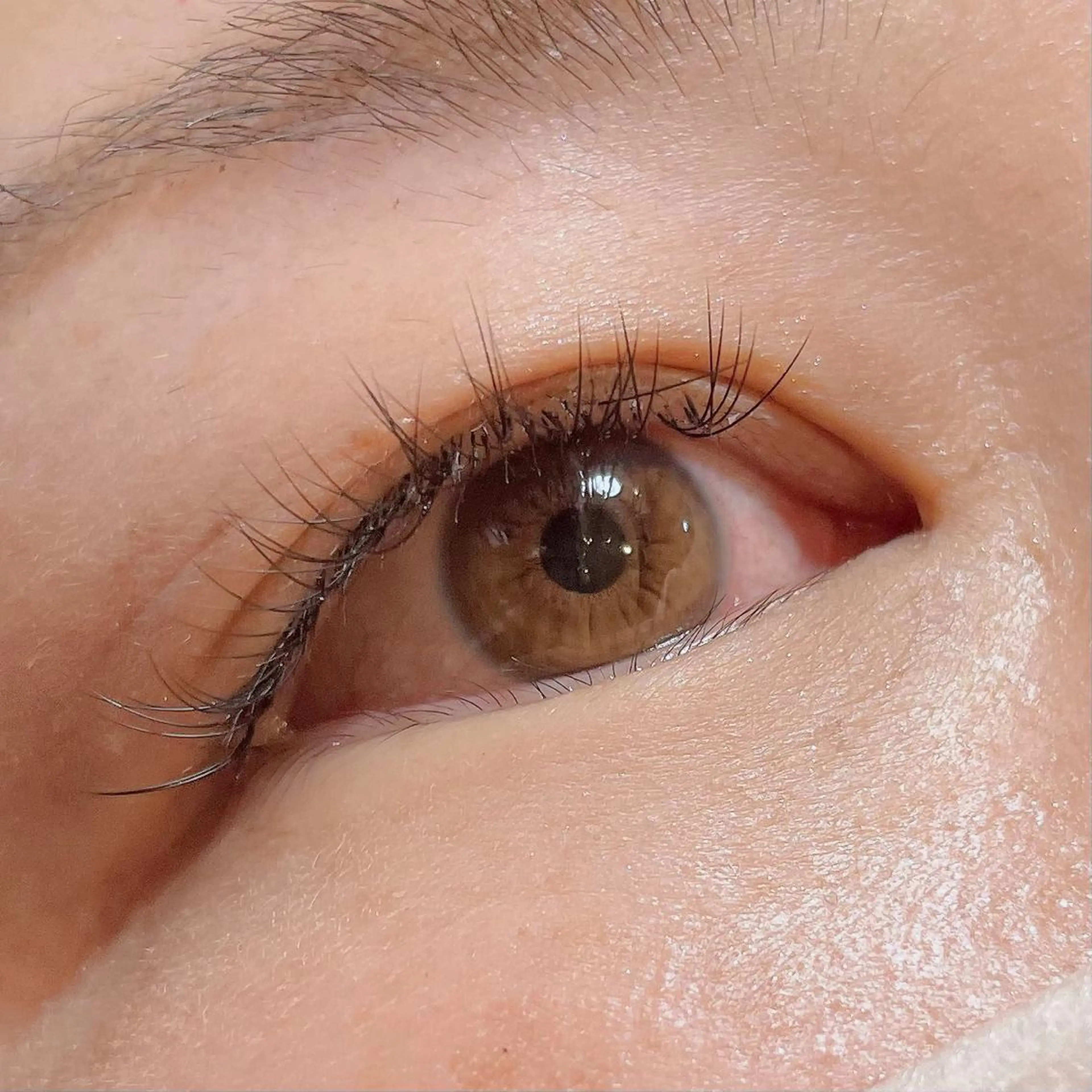 マツエク・マツパ キュート 玉木 愛の眉毛・アイブロウイメージ