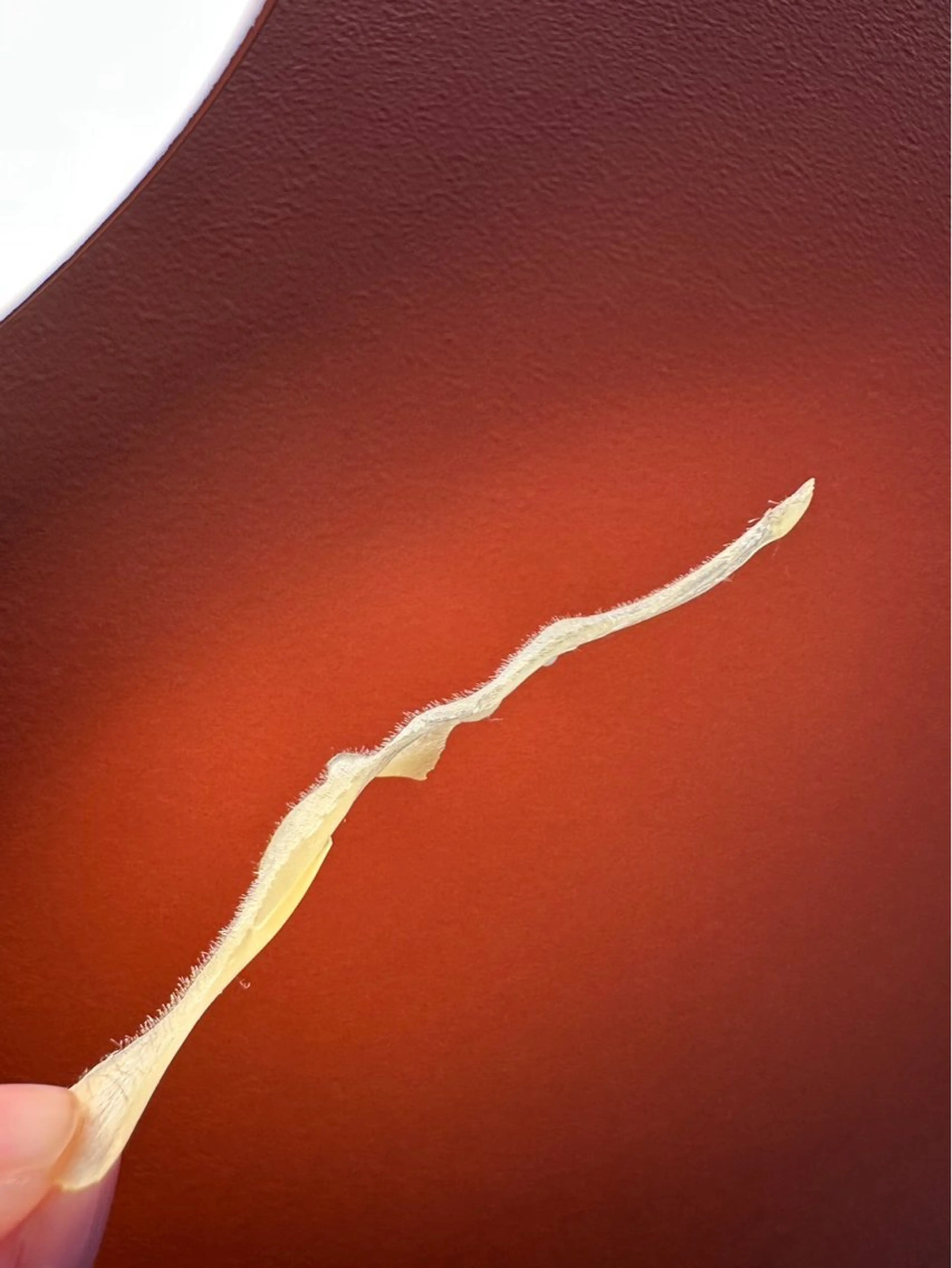 マツヤニワックス専門 堂山町 ルミエールのエステ・リラクイメージ