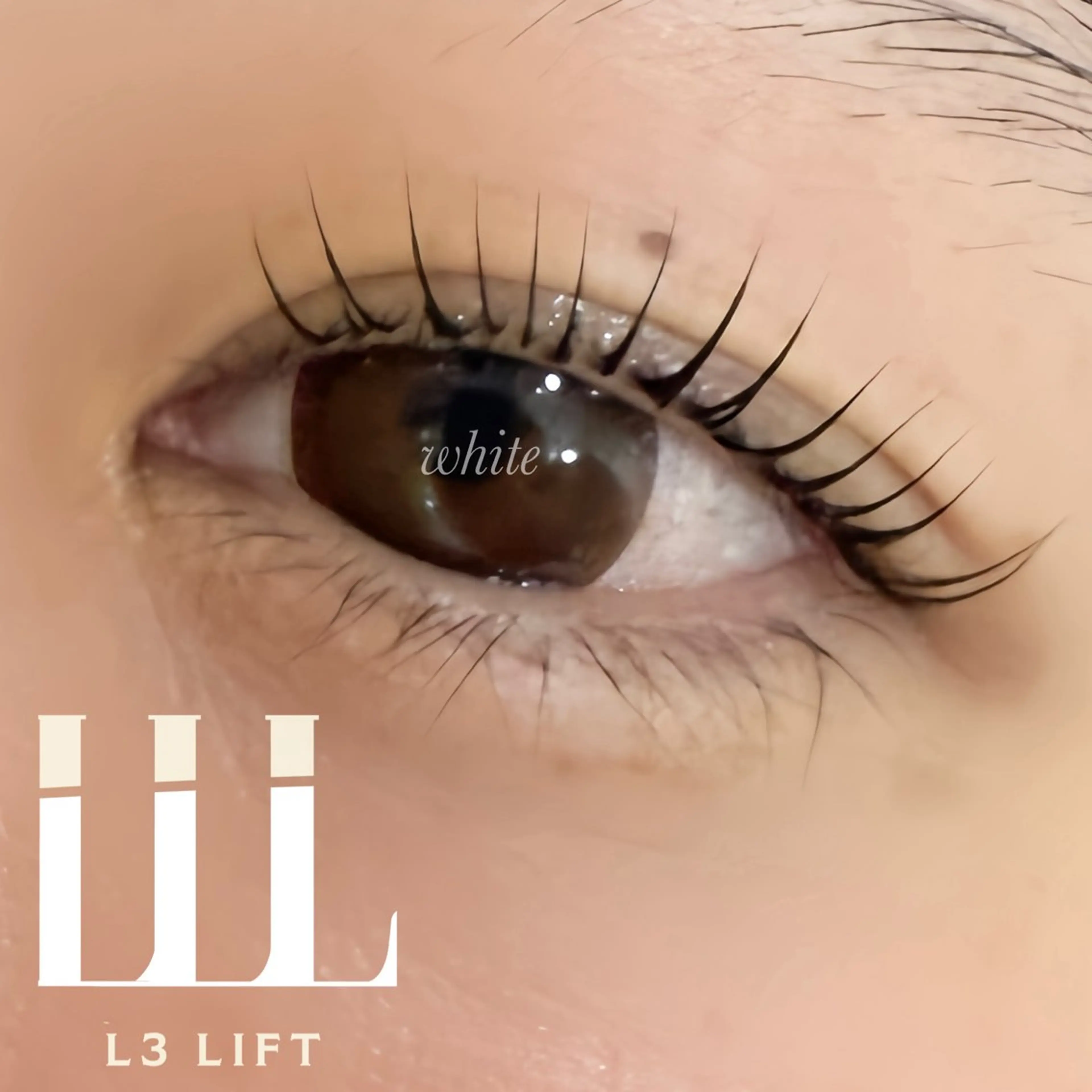 マツエク・マツパ まつげパーマ ホワイトニング&アイラッシュ四日市ホワイト所属・アイラッシュ ホワイトニング四日市のマツエク・マツパデザイン