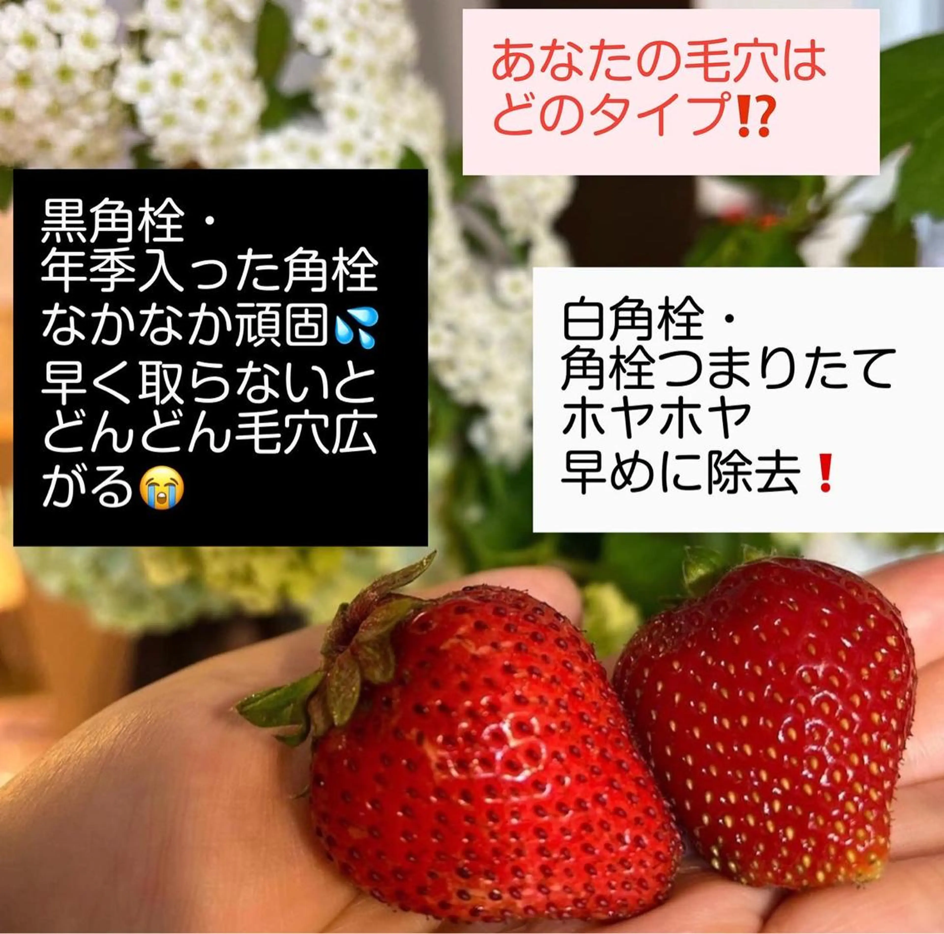 枝廣 貴子のエステ・リラクイメージ