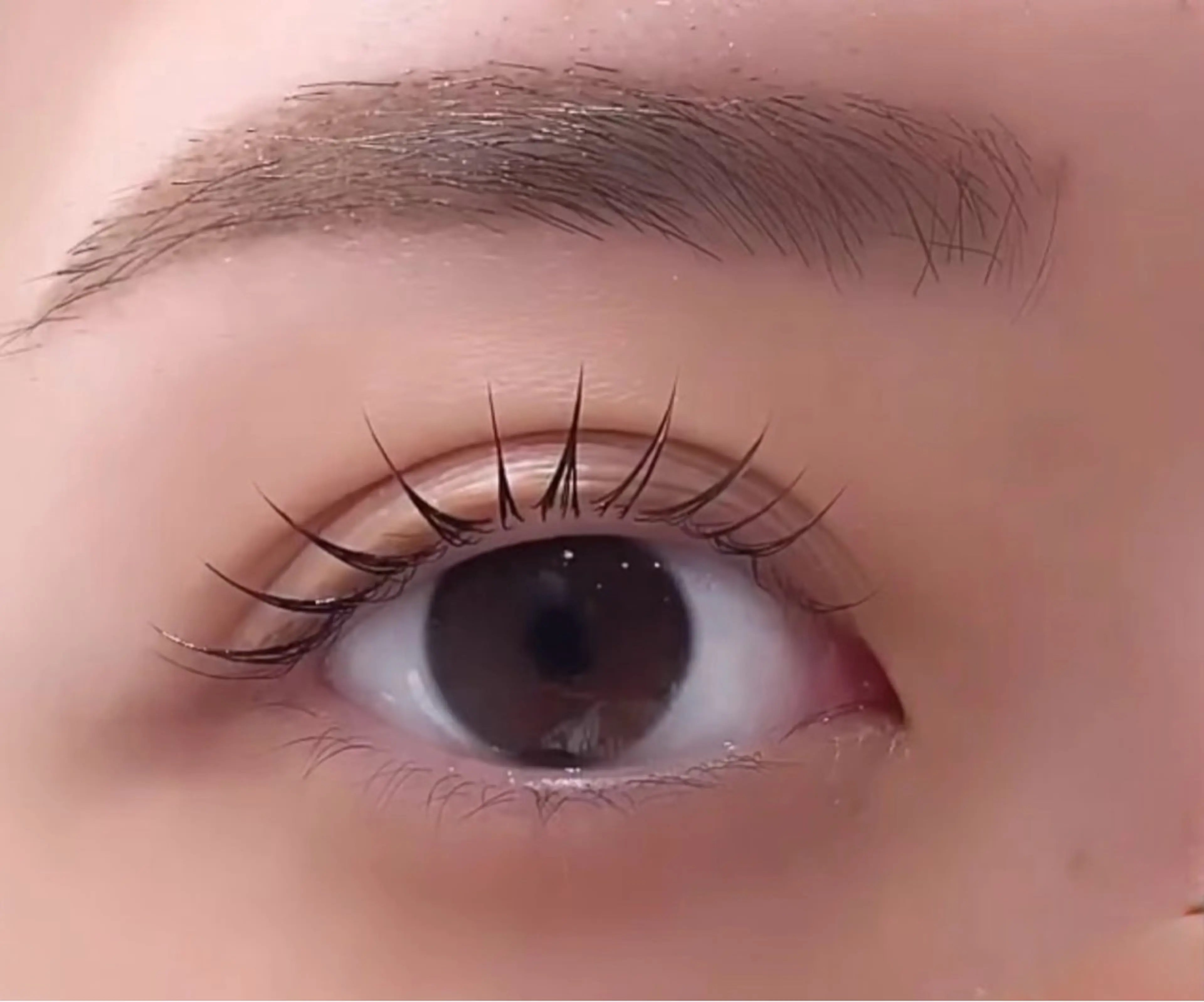 マツエク・マツパ 束感まつ毛 韓国風マツエク パリジェンヌラッシュリフト マツパ 池袋💖 チルザルトサロンのマツエク・マツパデザイン