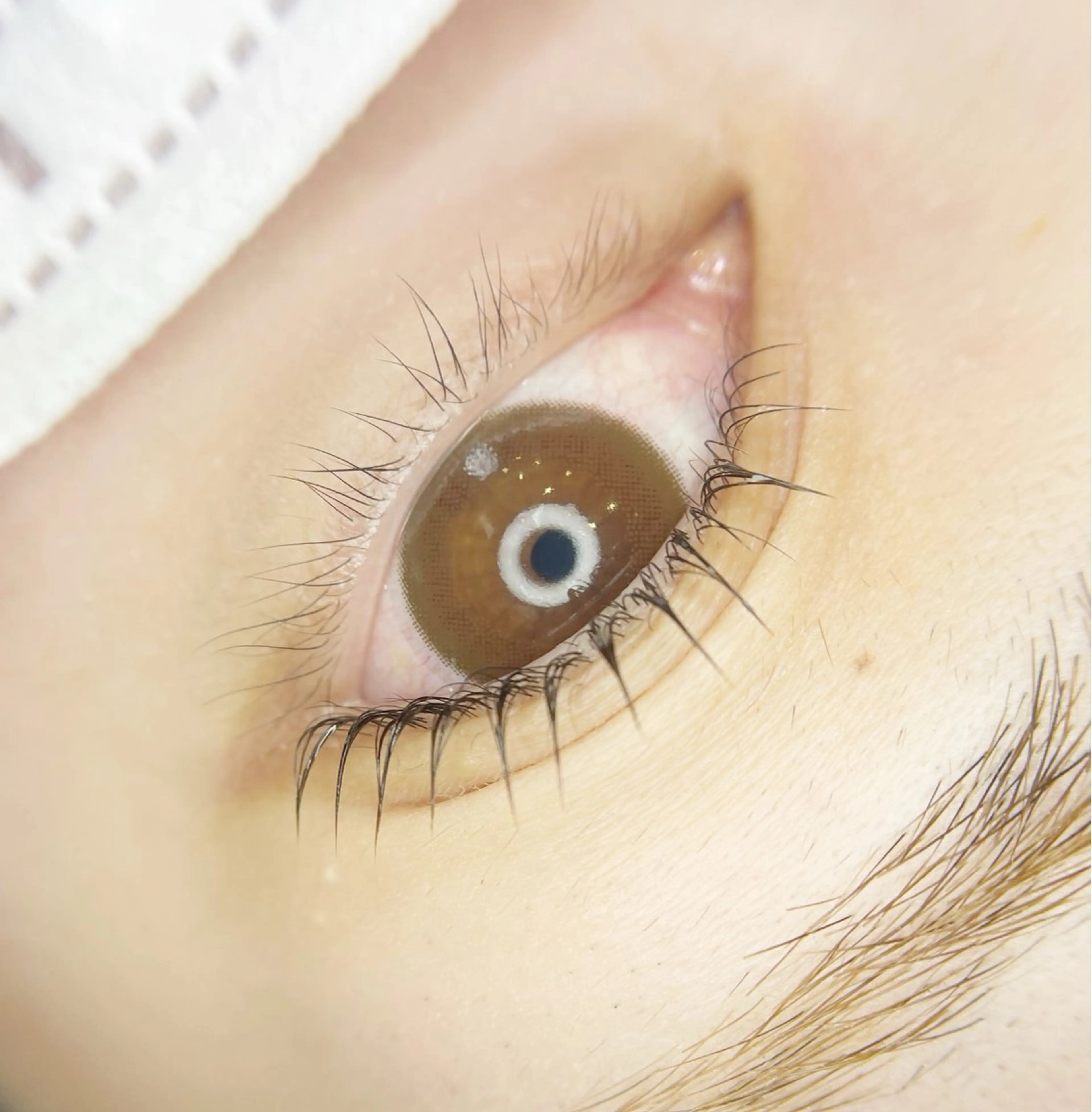 マツエク・マツパ まつげパーマ 松下 彩加のマツエク・マツパデザイン