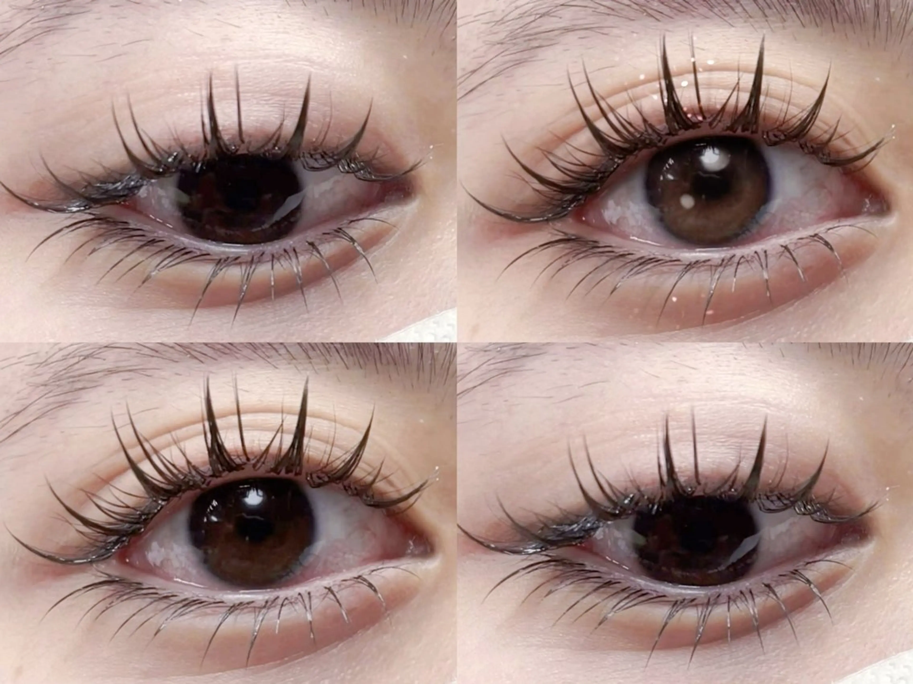 【パリエク】パリジェンヌ+中華風ワンホンフラットラッシュ140本の写真