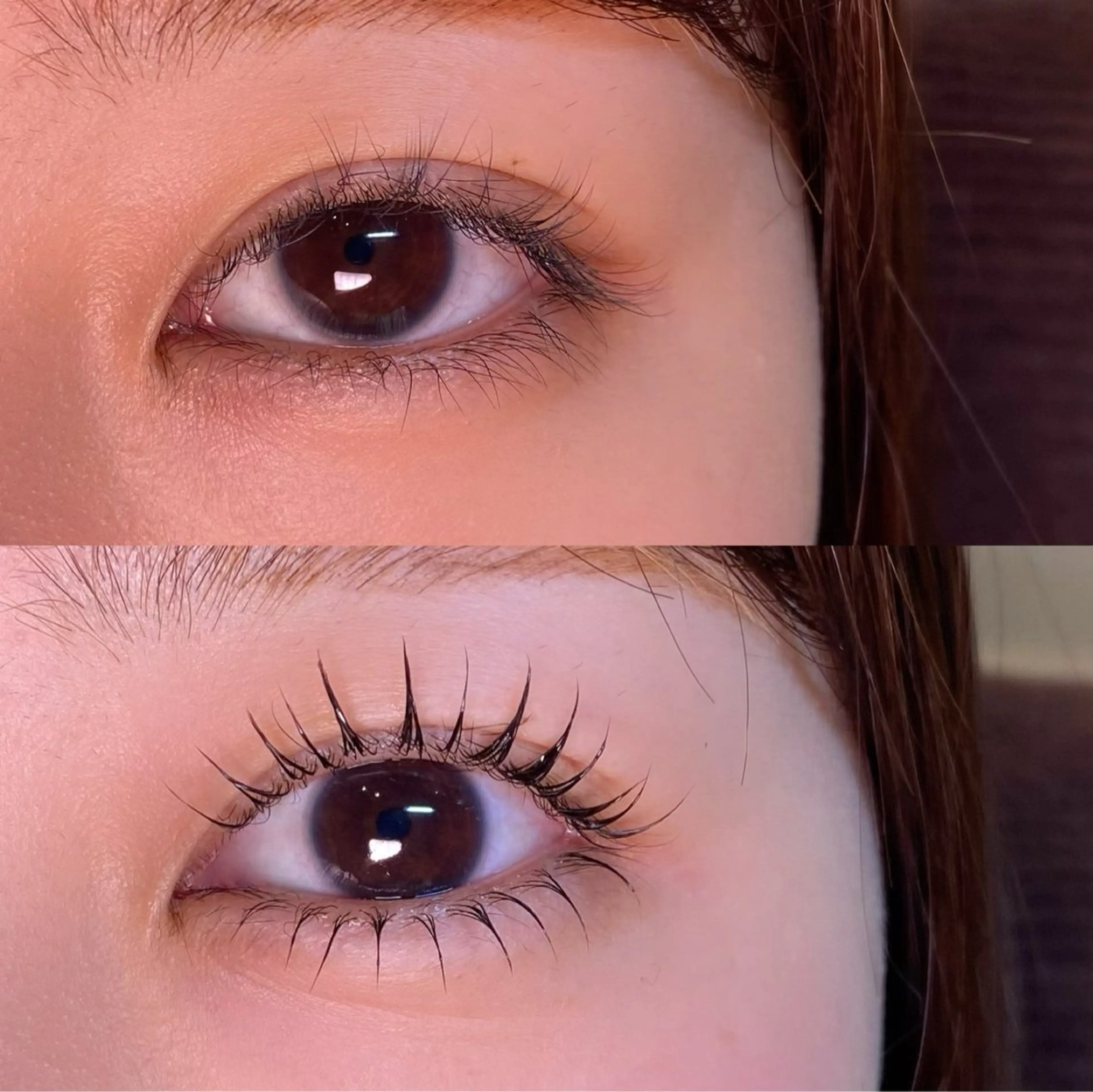 【平日予約限定】似合わせケラチンラッシュリフト上下♡コーティング束感仕上げの写真