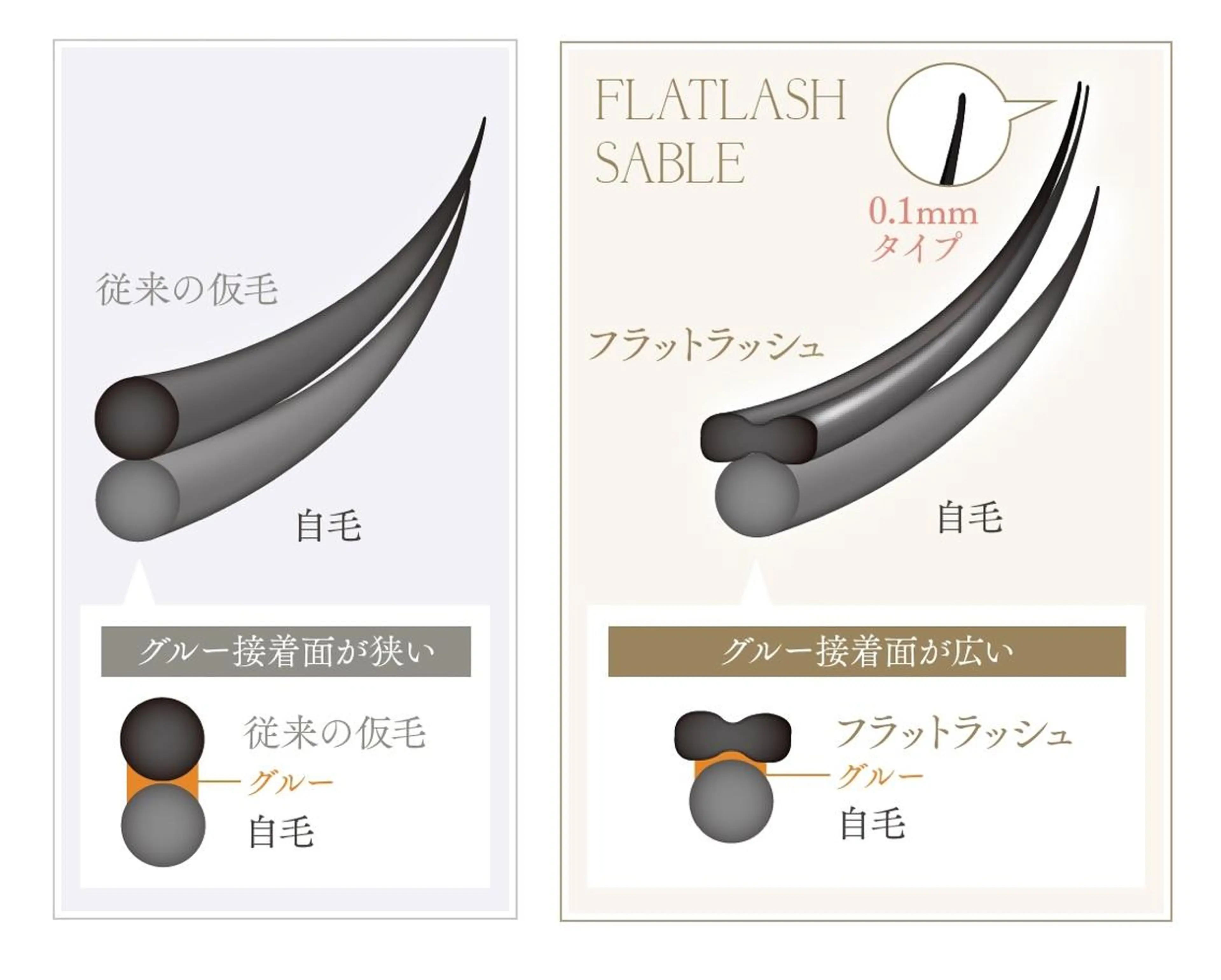 フラットラッシュ🦩80本の写真