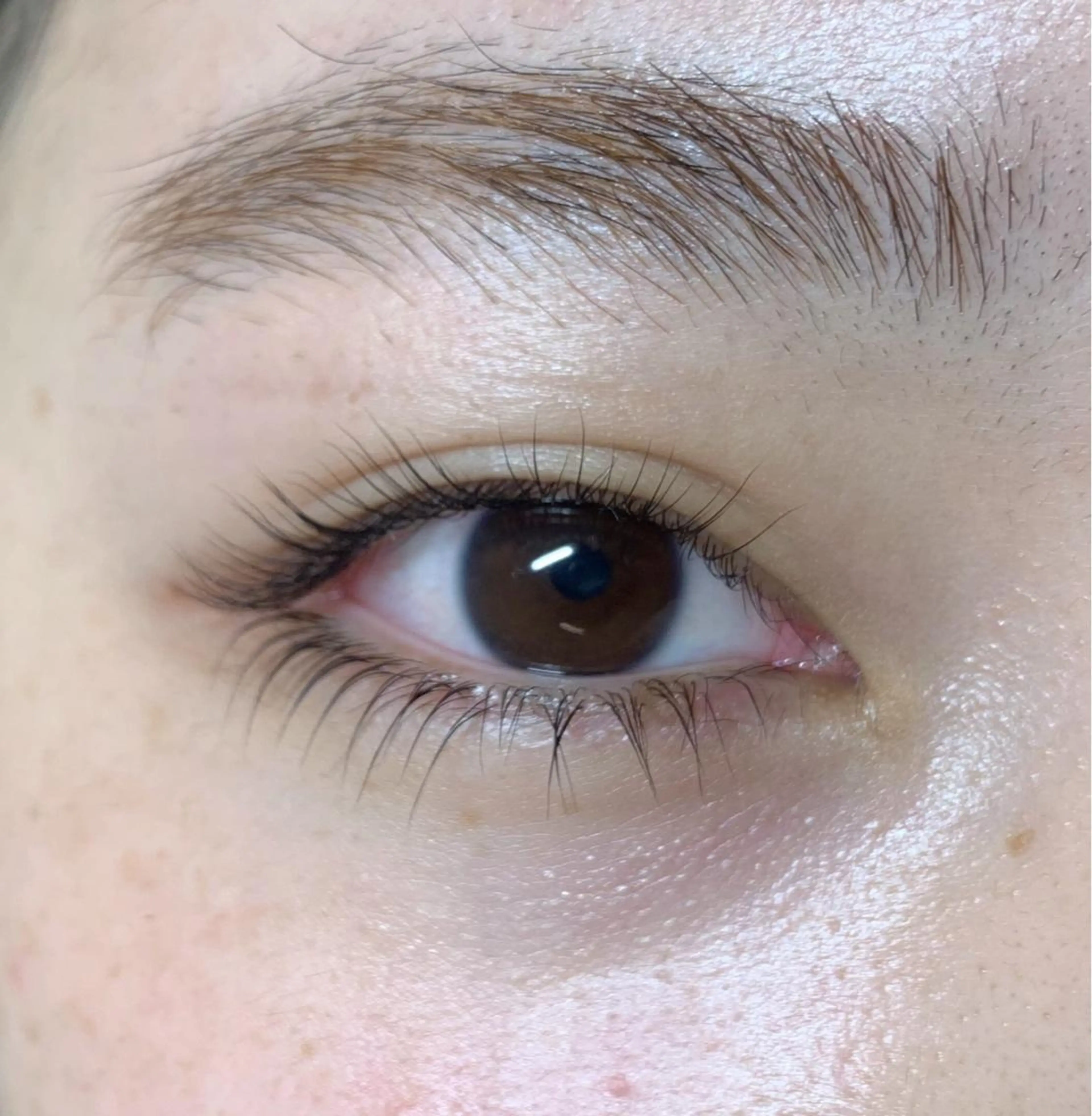 マツエク・マツパ まつげパーマ 下まつげエクステ mee三軒茶屋 店長 Miki 🌼のマツエク・マツパデザイン