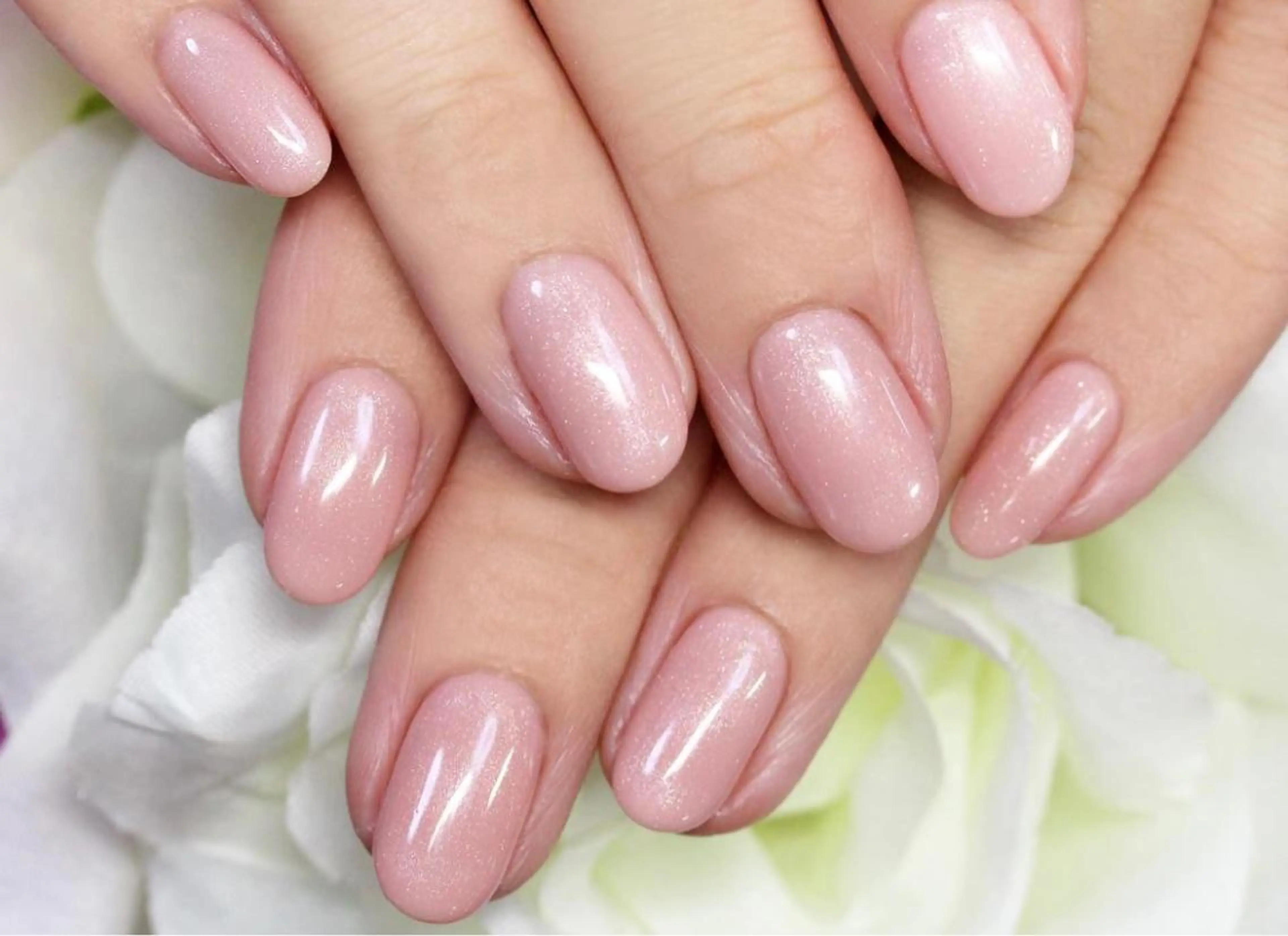 ワンカラー（１０本）の写真