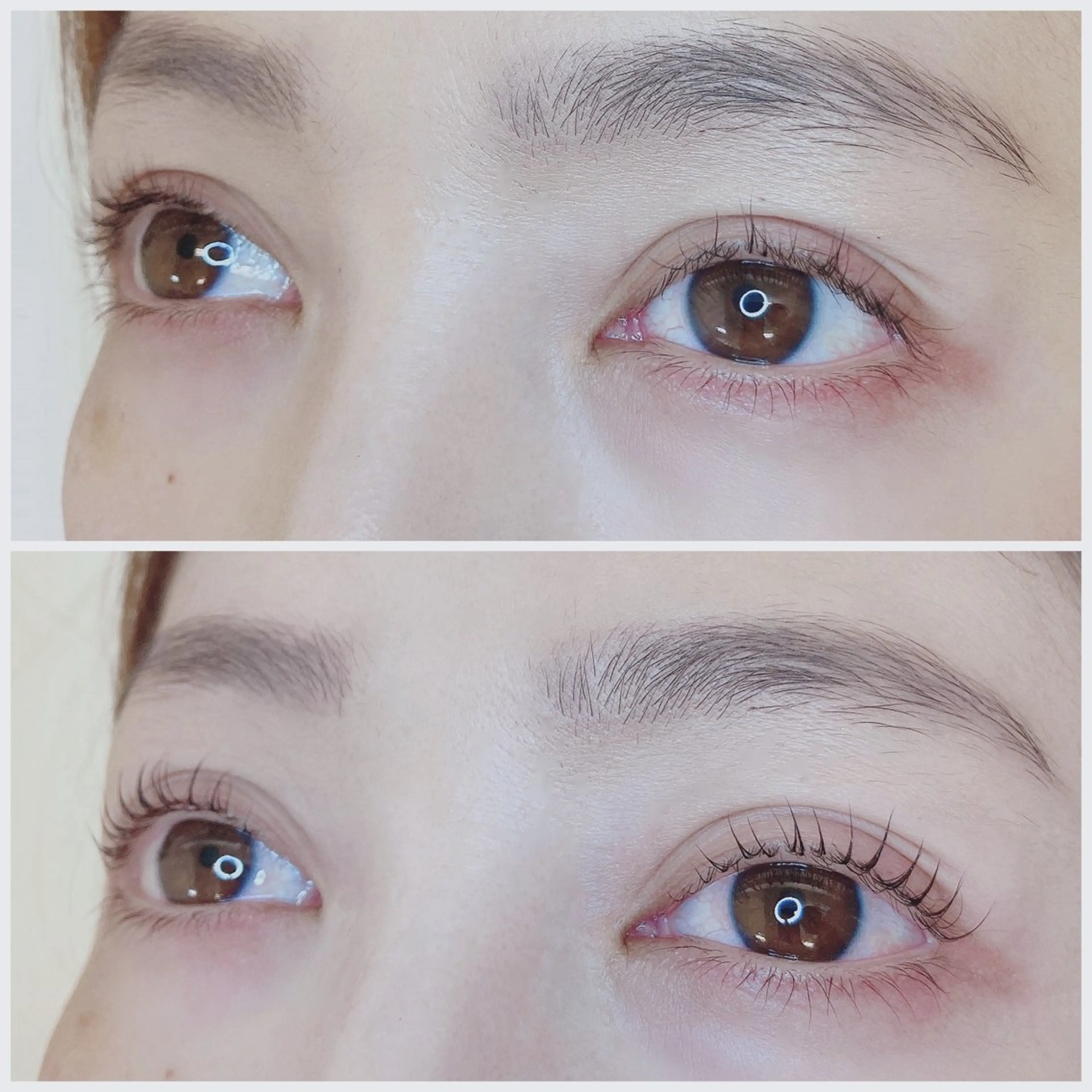 マツエク・マツパ TIARA池袋西口店 店長YASUKA💐のマツエク・マツパデザイン