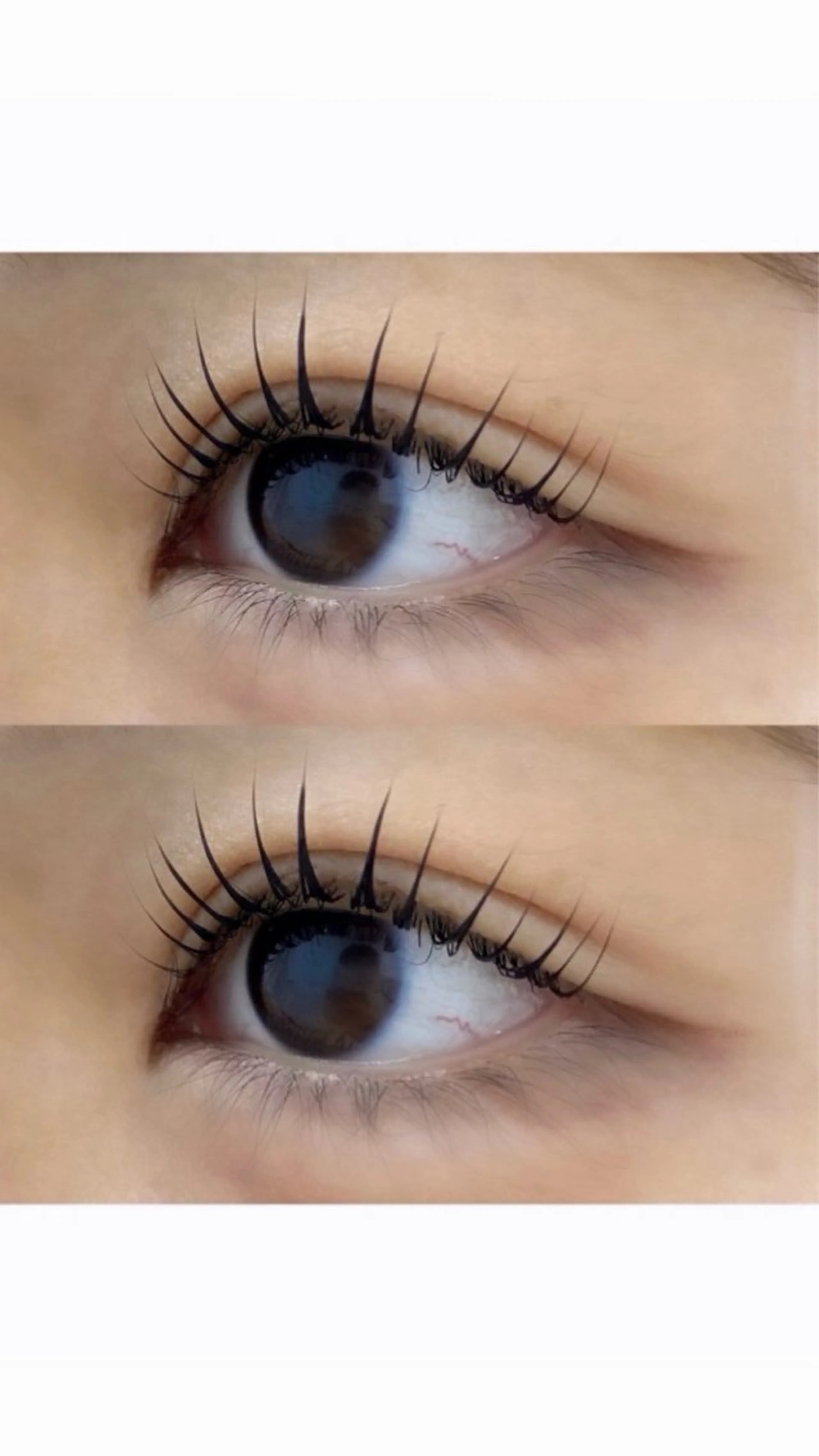 マツエク・マツパ マツパ Le’a first【レアファースト】樟葉店所属・レアファースト樟葉店 ゆうかのマツエク・マツパデザイン