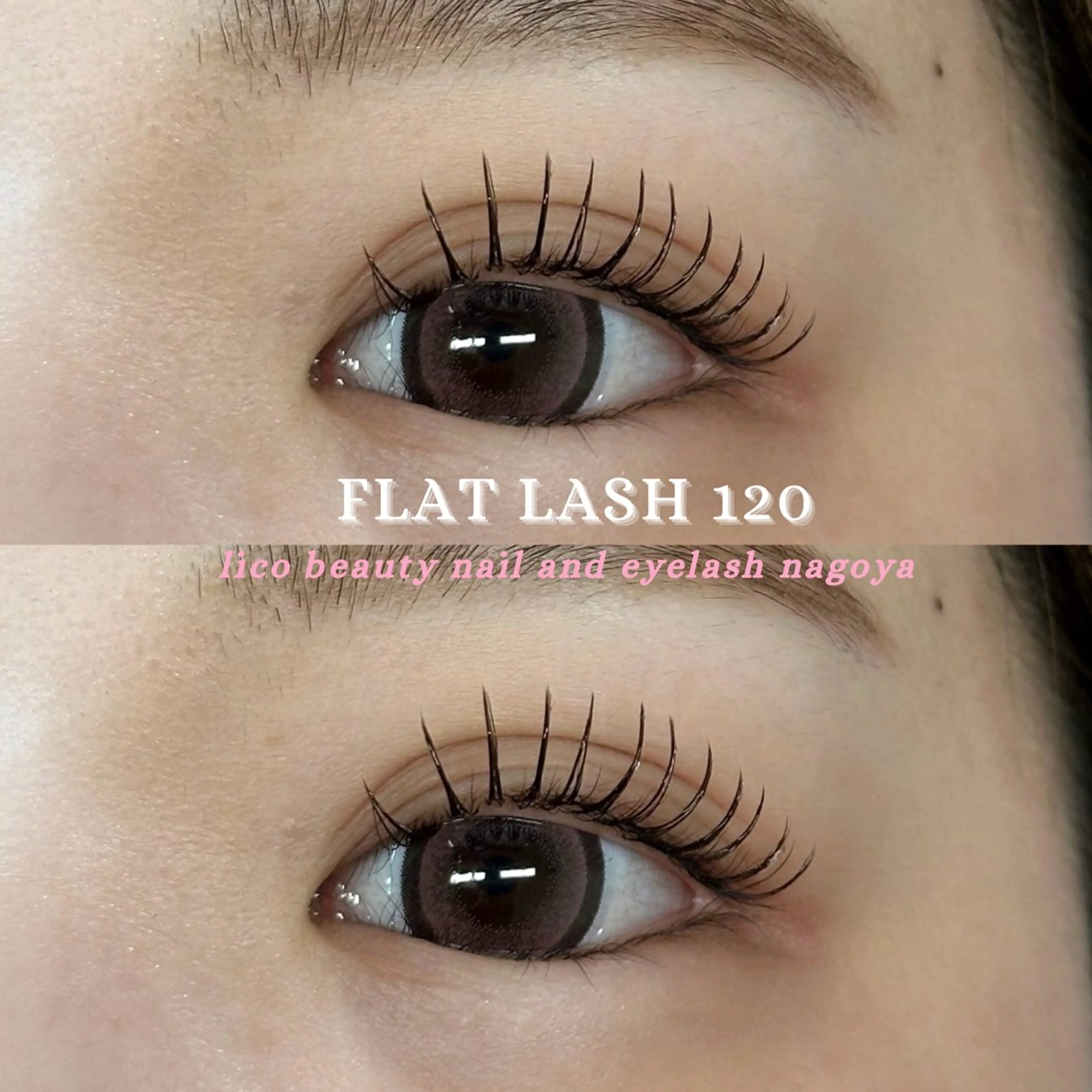 🎀フラットラッシュ100本 🎀の写真