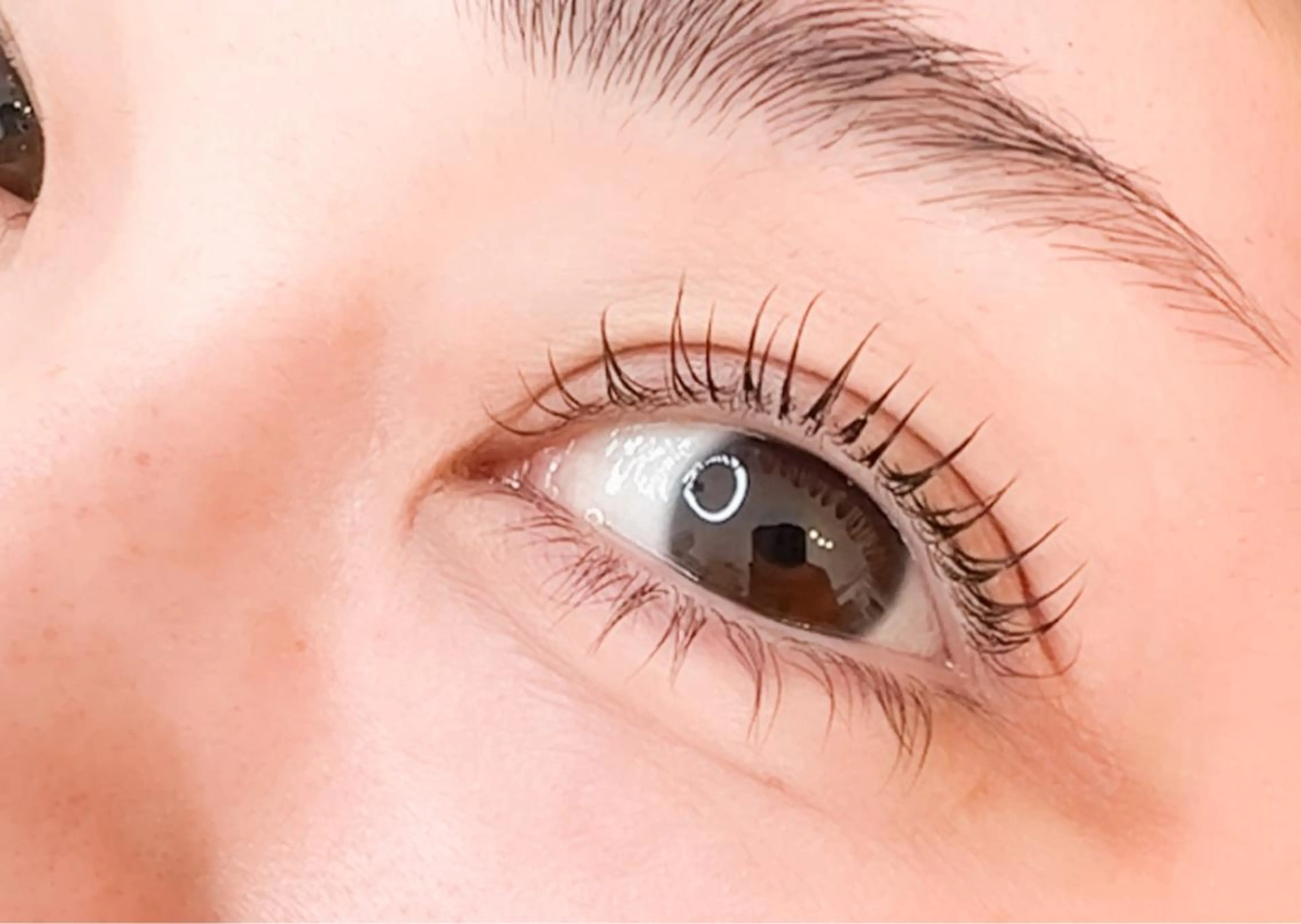 次世代まつげパーマ5800円(ラッシュリフト)✨コーティング付き！！の写真