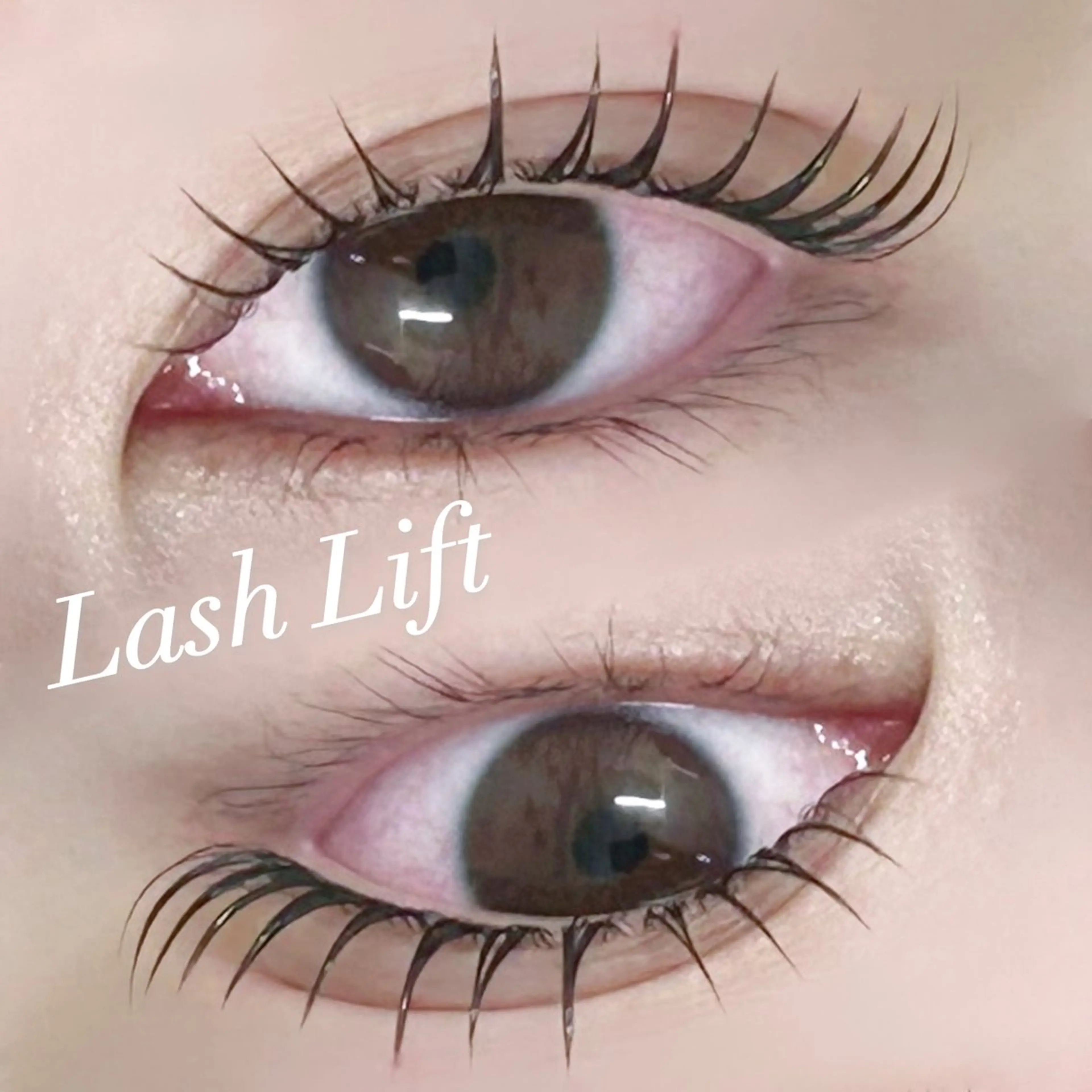 マツエク・マツパ 束感まつ毛 マツパ jessica 🌷Hayashiのマツエク・マツパデザイン