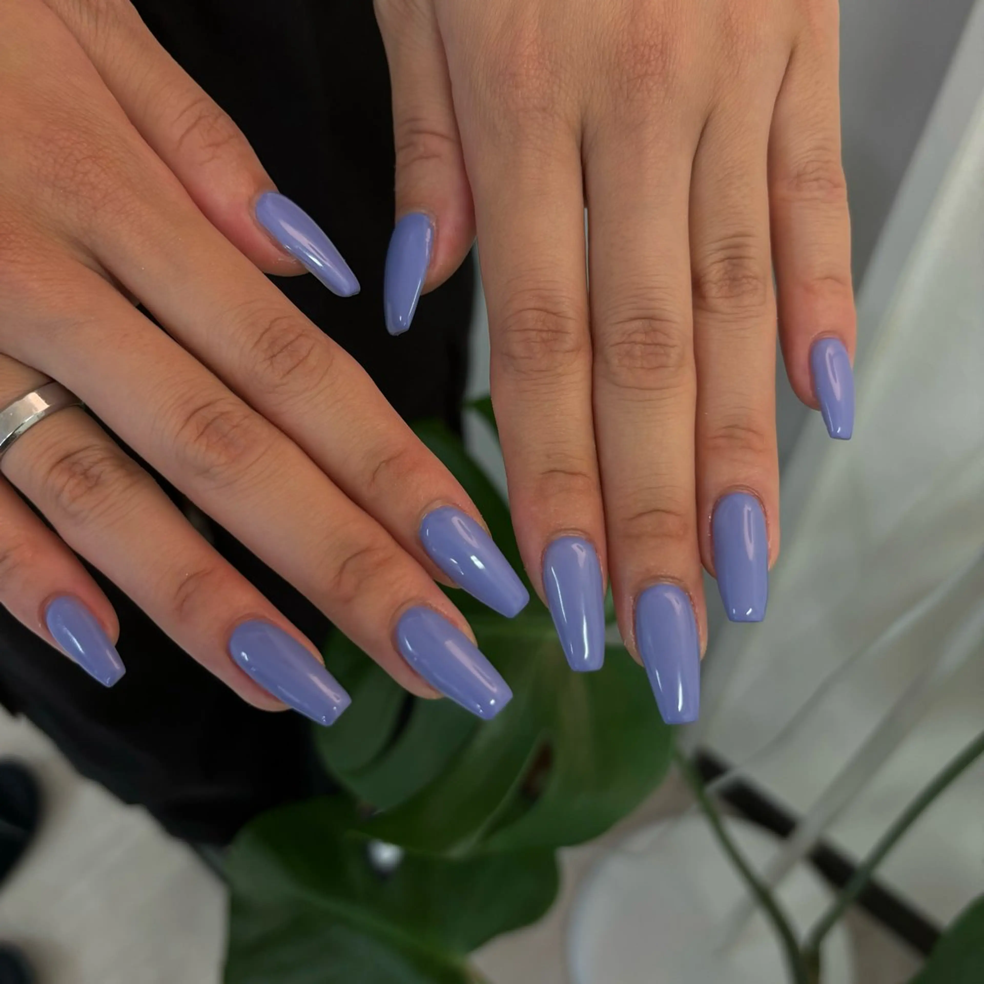 [パラジェル]＊オフなし　ワンカラー/ラメグラ🍇の写真